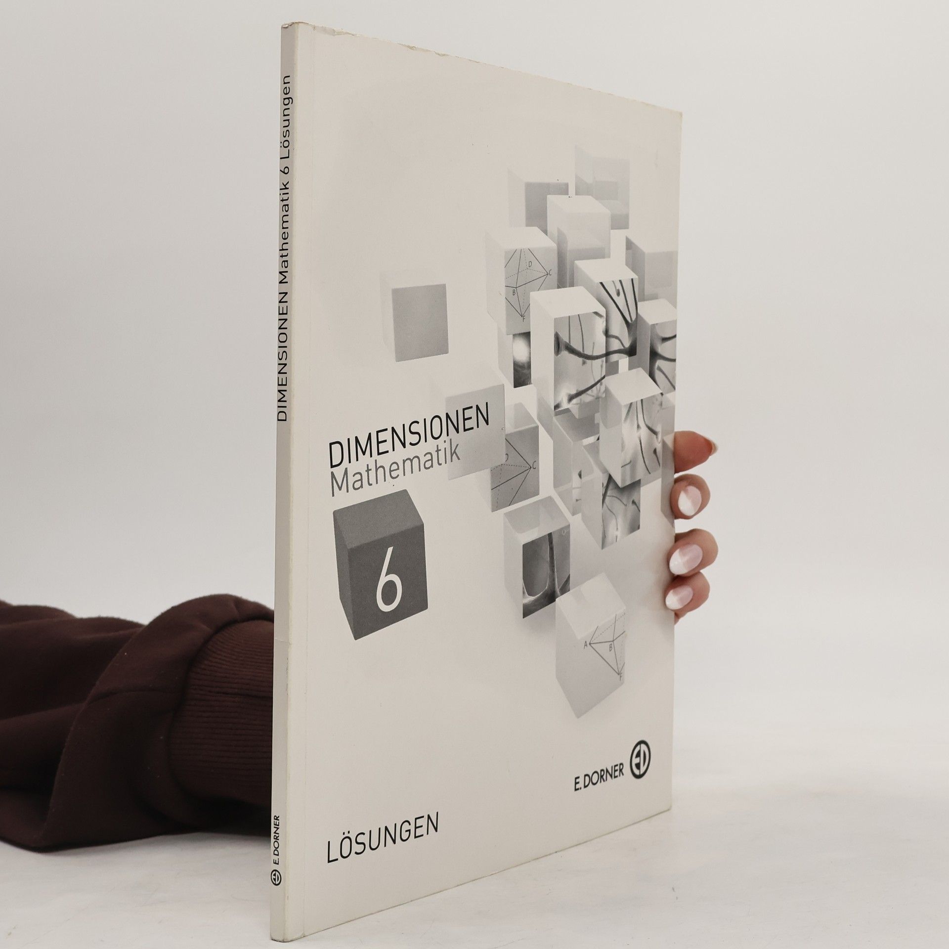 Autorenkollektiv Dimensionen Mathematik 6. Lösungen