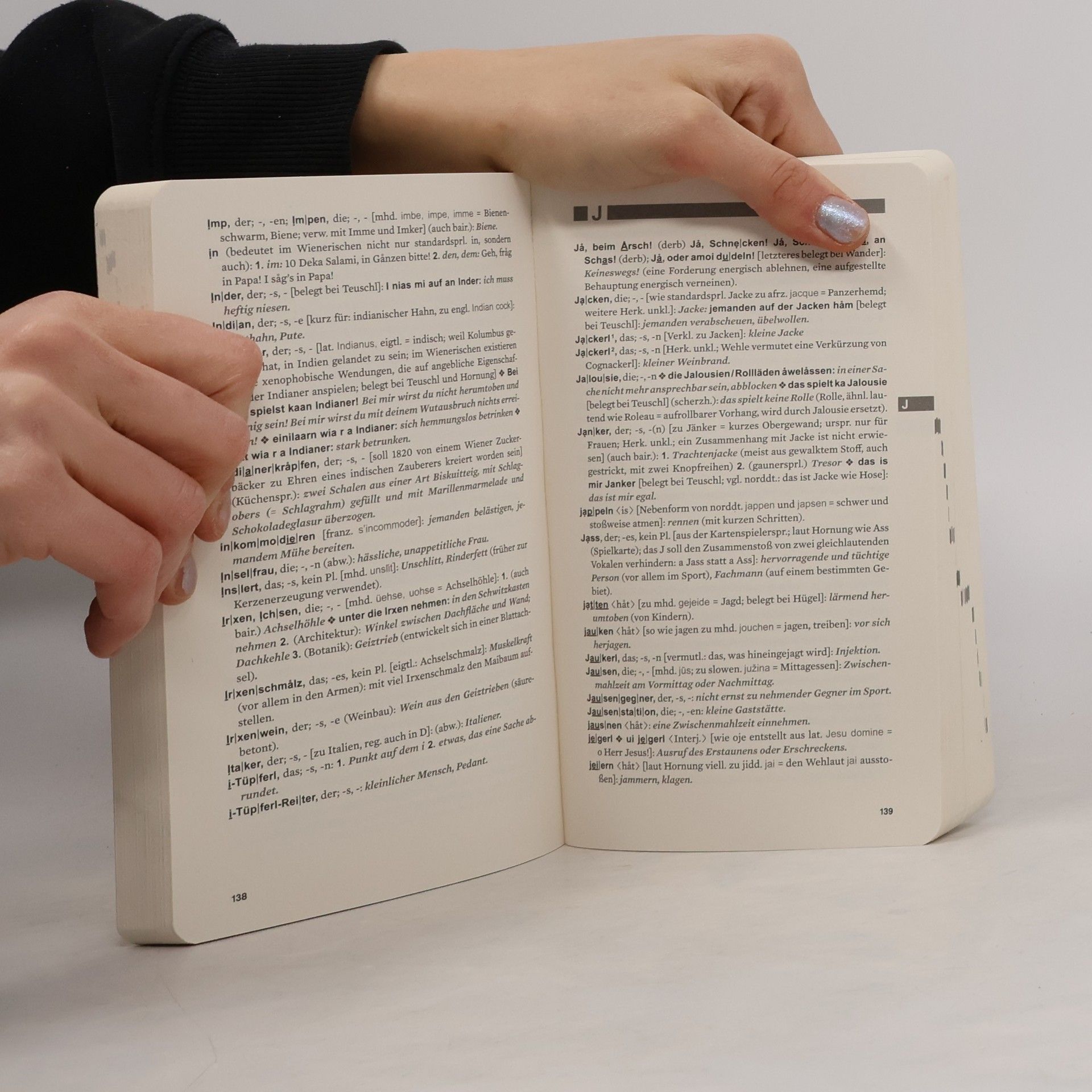 Robert Sedlaczek Wörterbuch des Wienerischen
