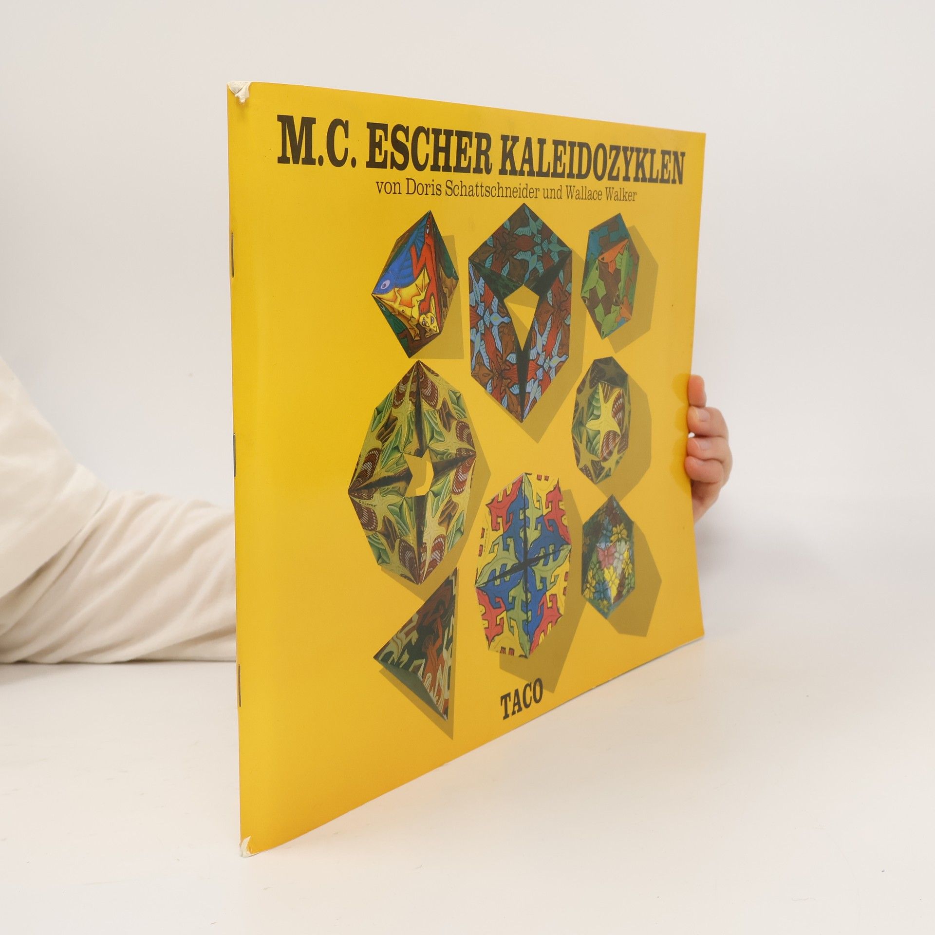 Doris Schattschneider M. C. Escher Kaleidozyklen