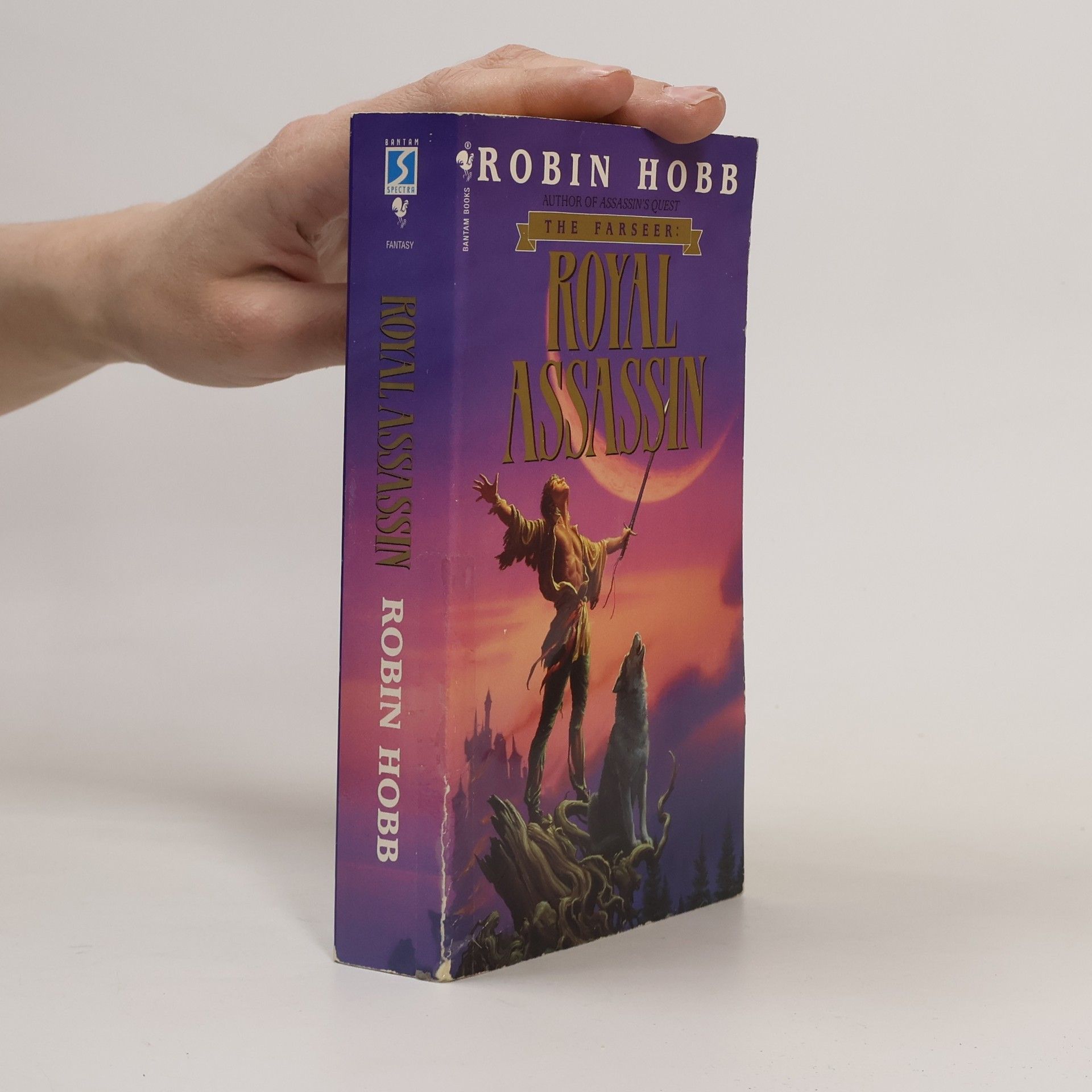 Robin Hobb Royal Assassin