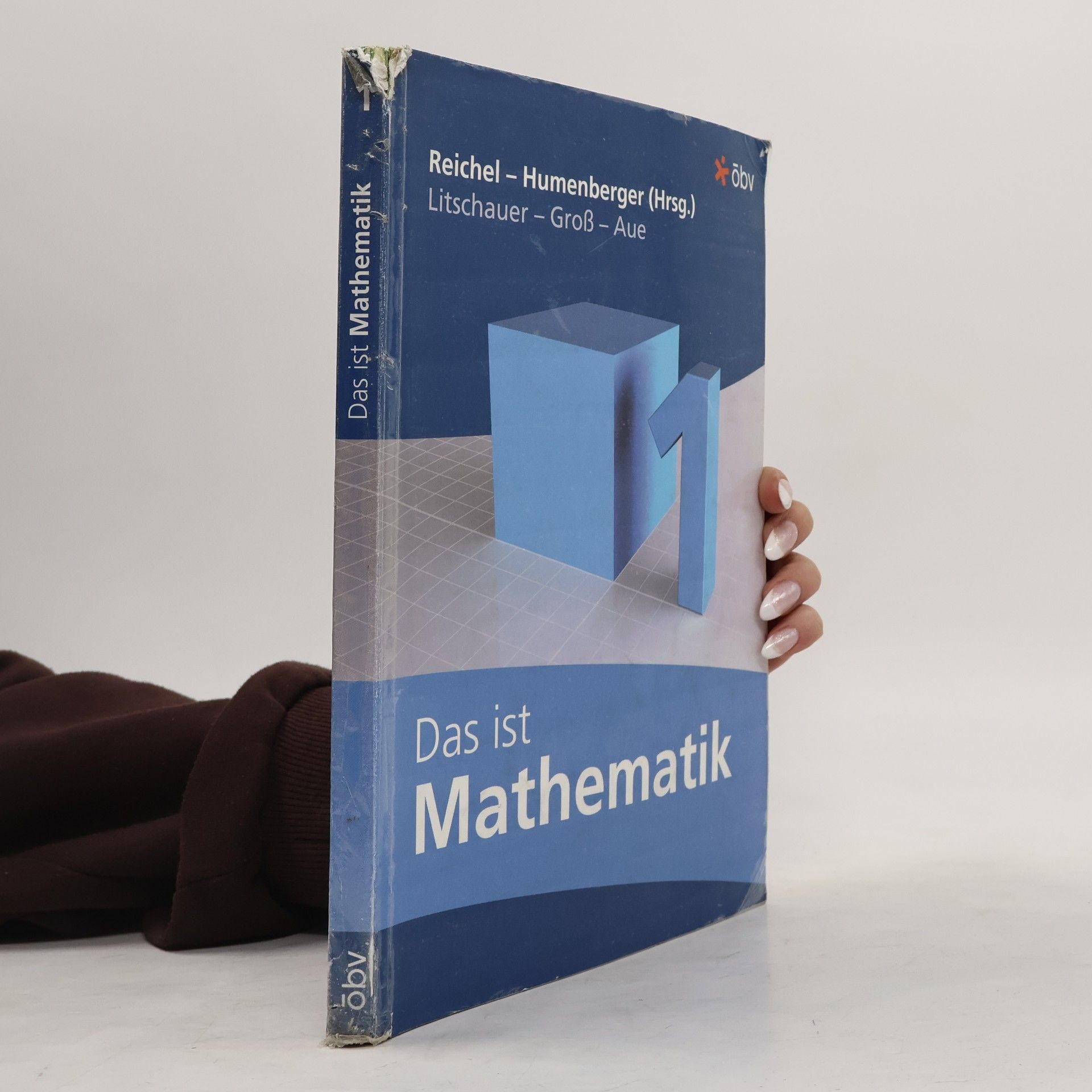 Dieter Litschauer Das ist Mathematik 1