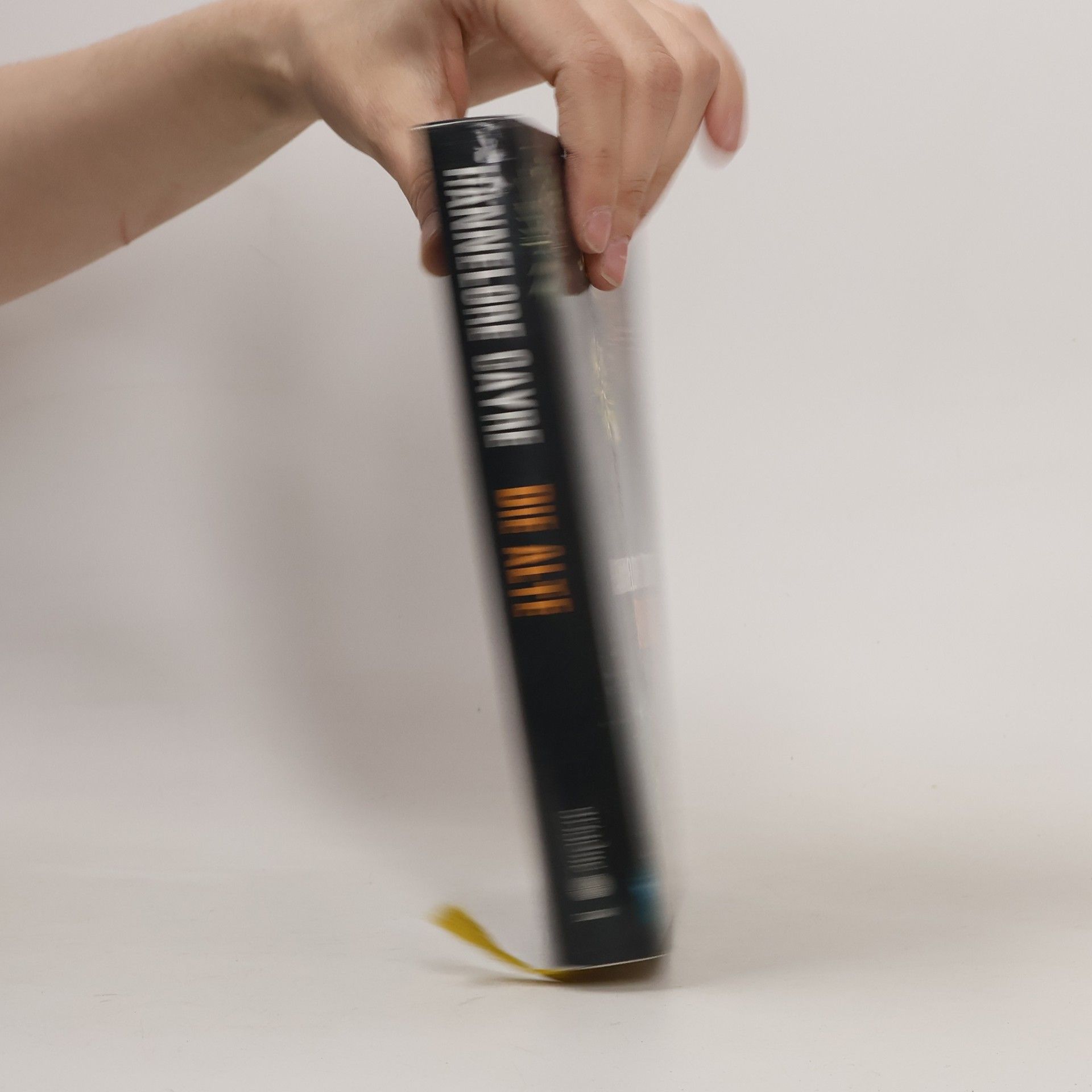 Hannelore Cayre Die Alte