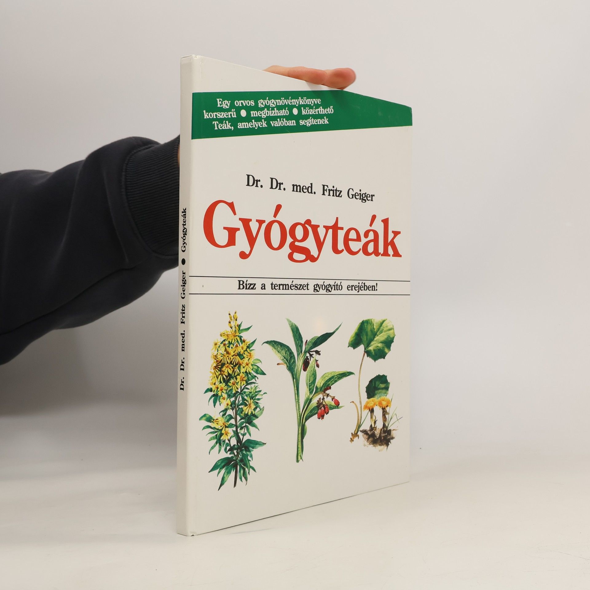 Fritz Geiger Gyógyteák