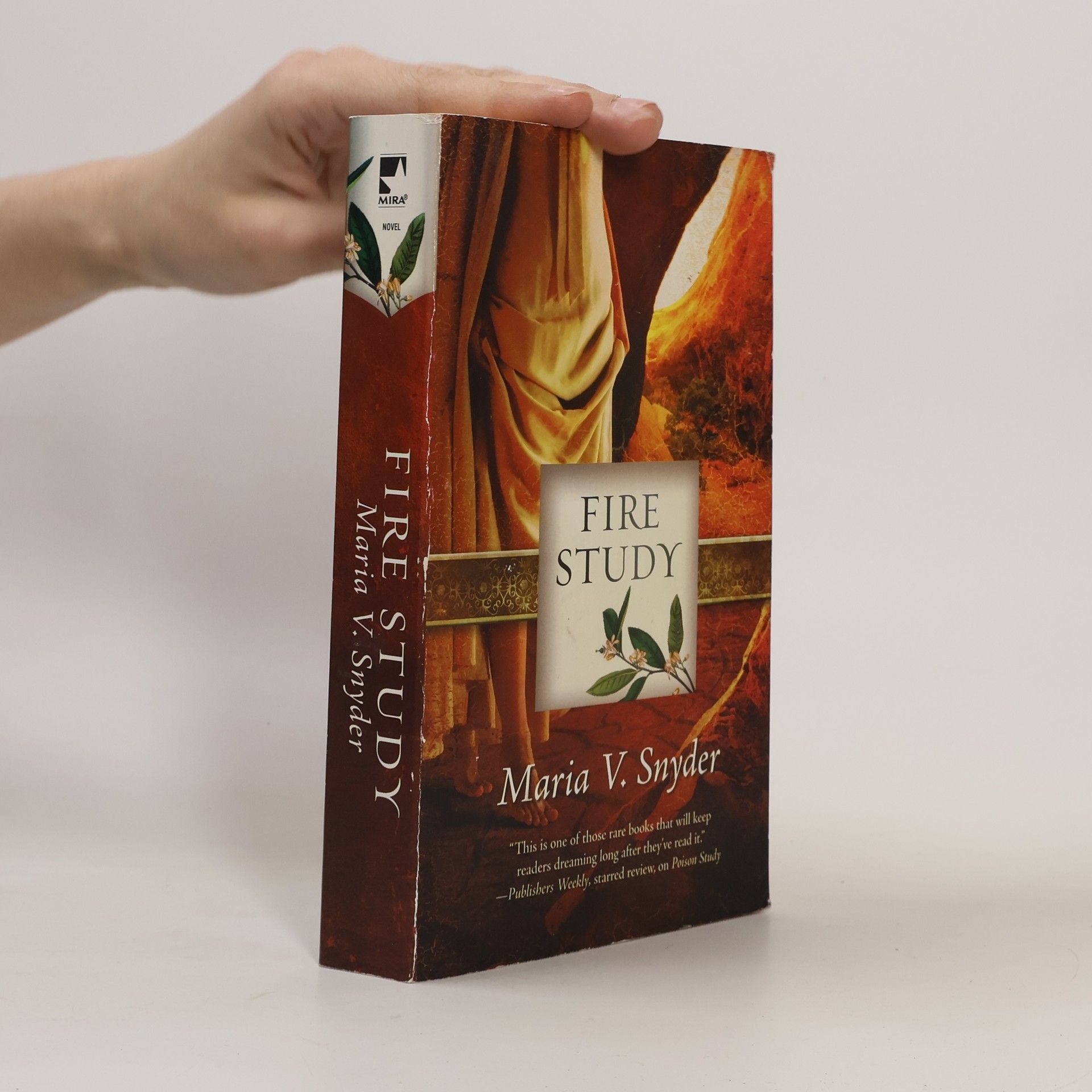 Maria V. Snyder Study - 3: Fire Study