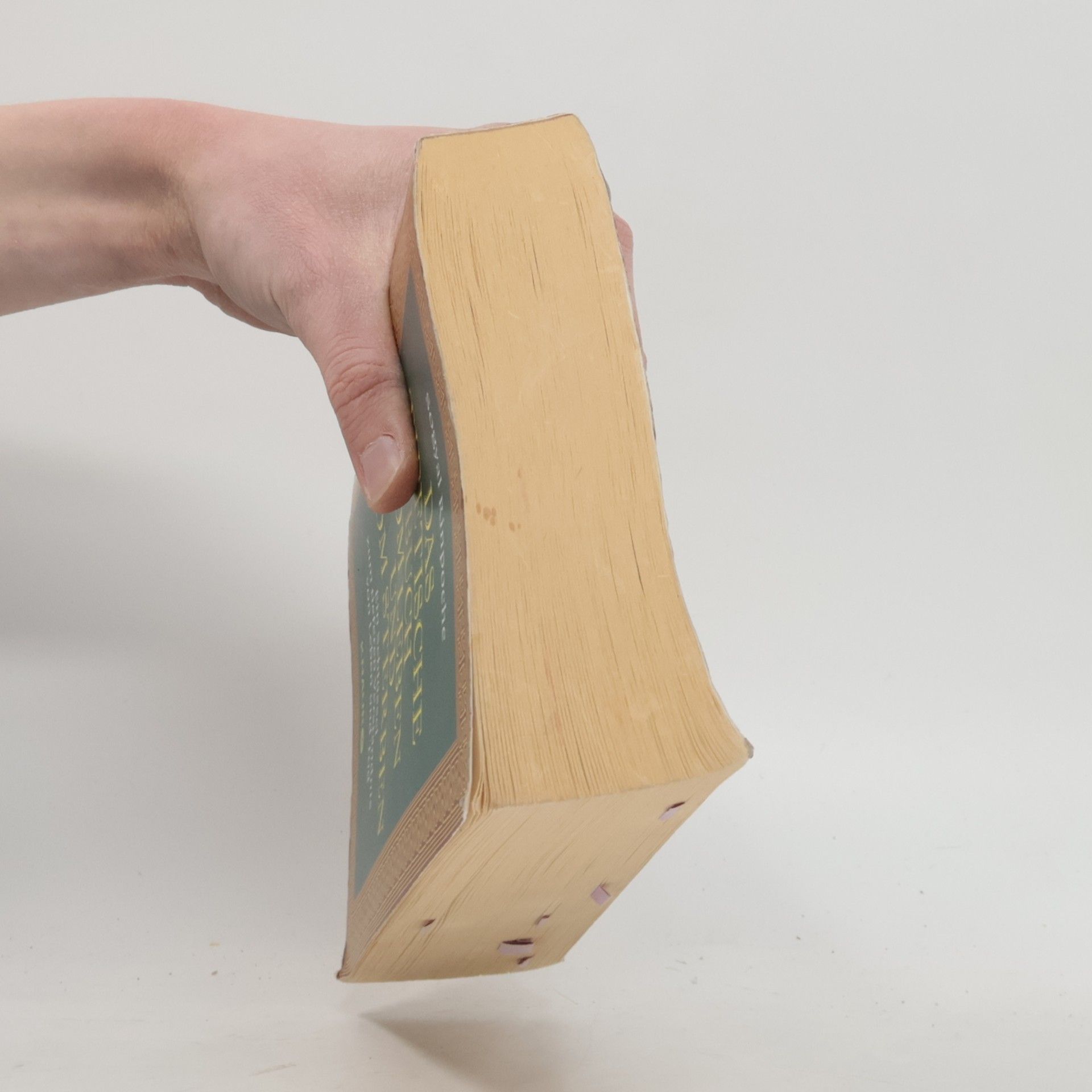 Sogyal Rinpoche Das tibetische Buch vom Leben und vom Sterben