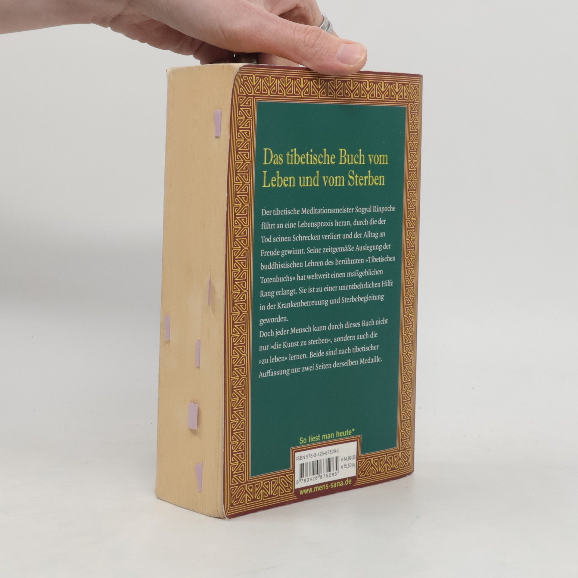 Sogyal Rinpoche Das tibetische Buch vom Leben und vom Sterben