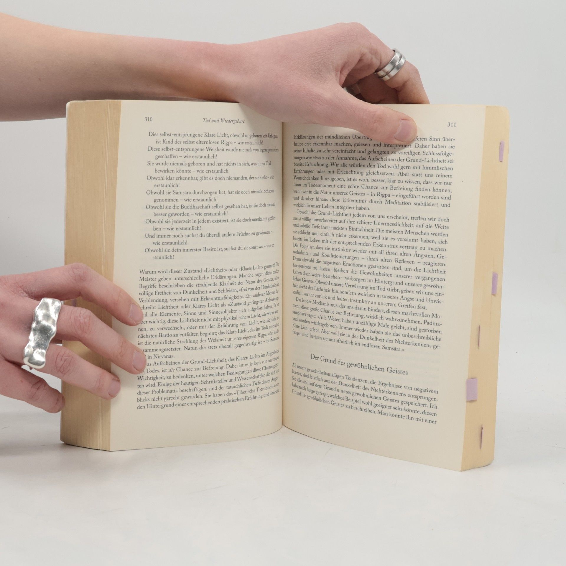 Sogyal Rinpoche Das tibetische Buch vom Leben und vom Sterben