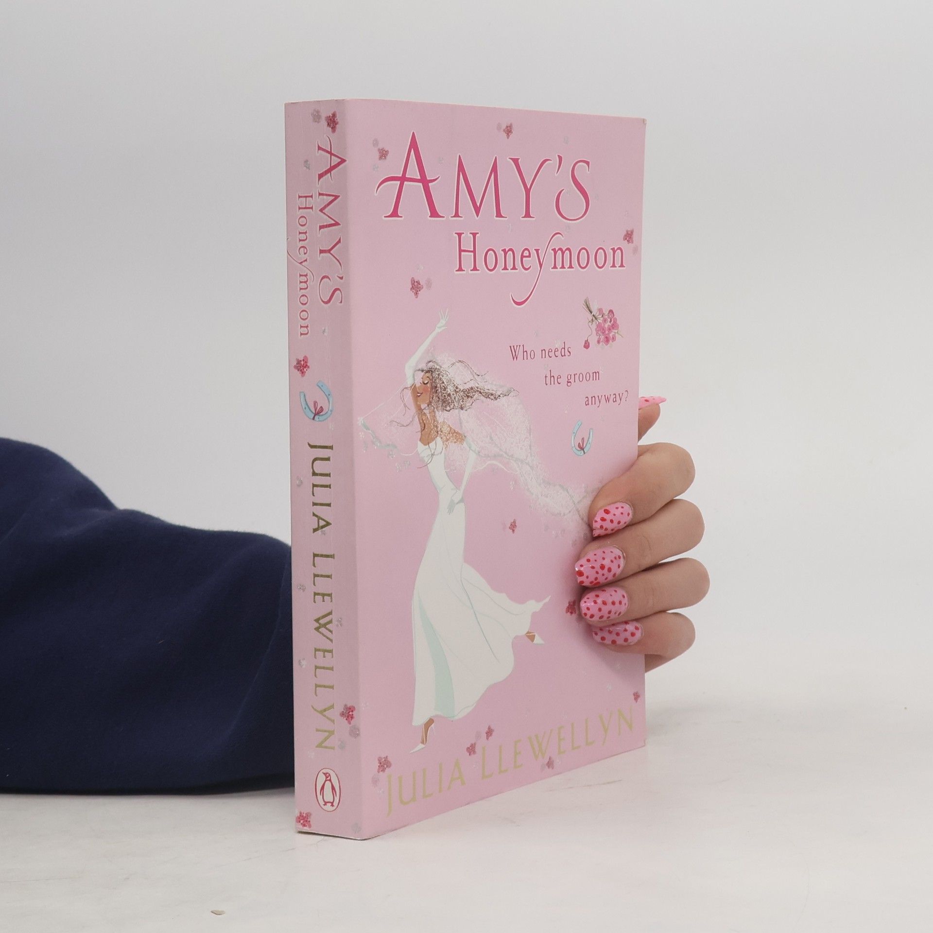 Julia Llewellyn Amy's Honeymoon