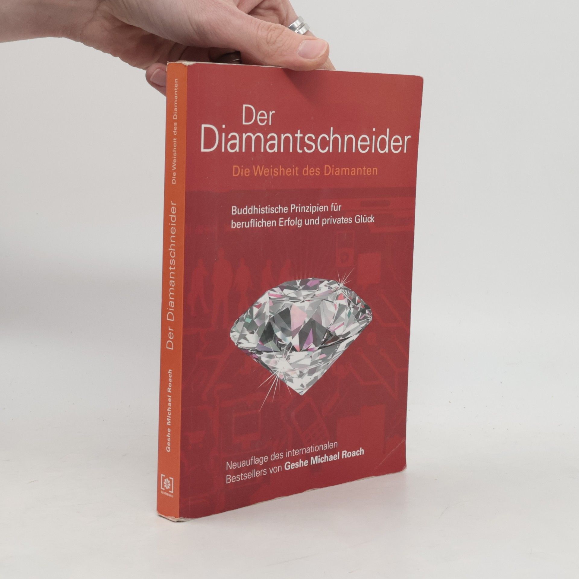 Michael Roach Der Diamantschneider