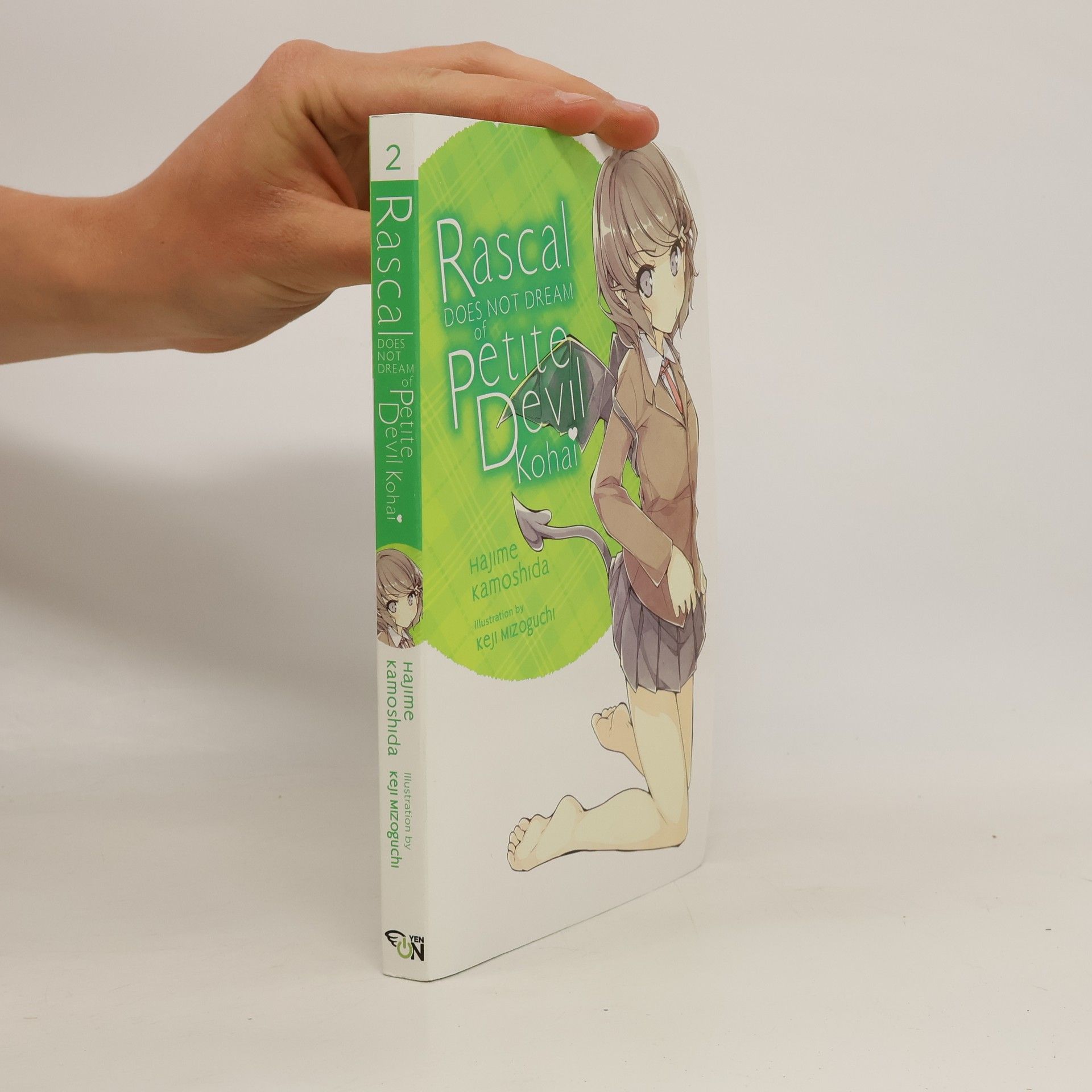 Hajime Kamoshida Rascal Does Not Dream of Petite Devil Kouhai (light novel)