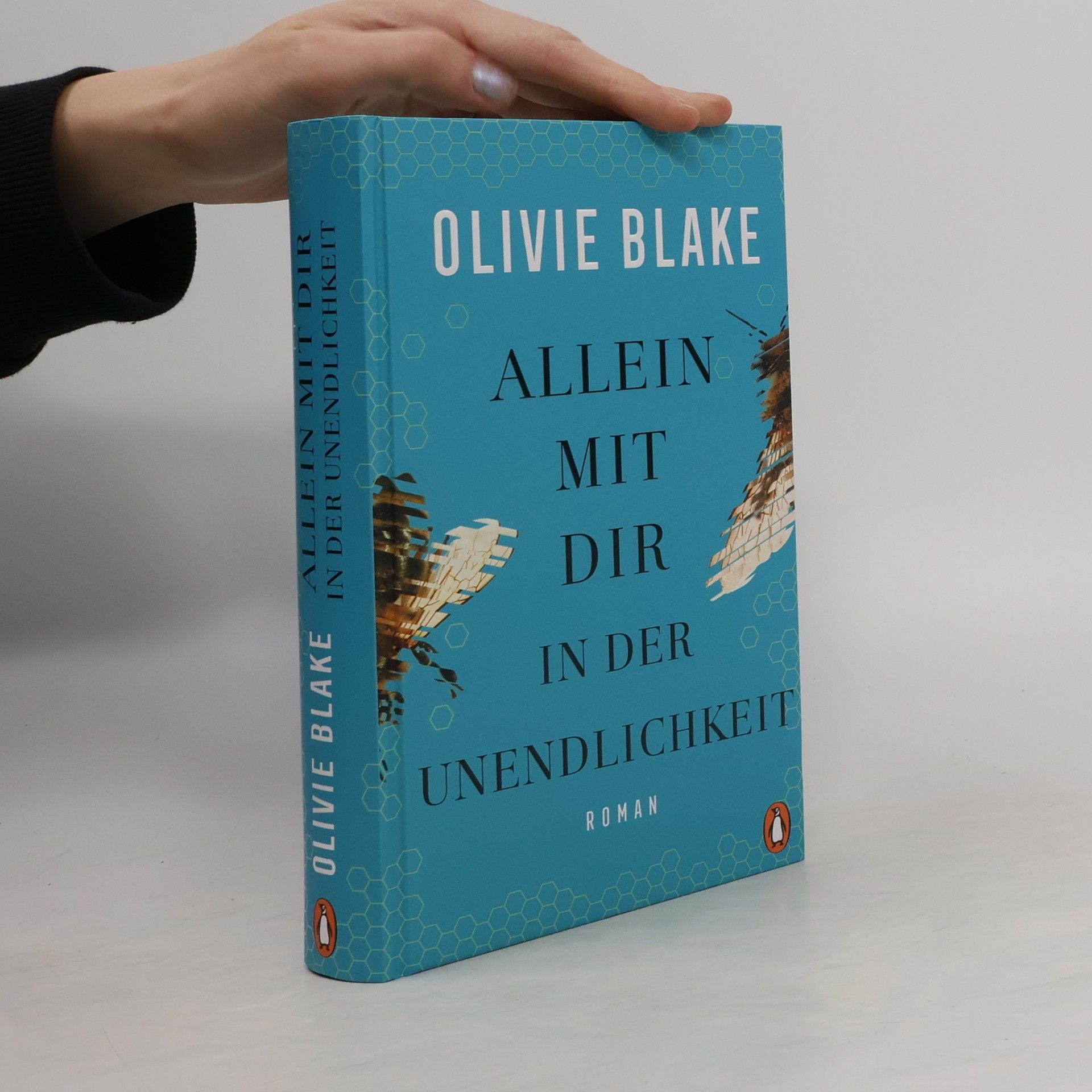 Olivie Blake Allein mit dir in der Unendlichkeit