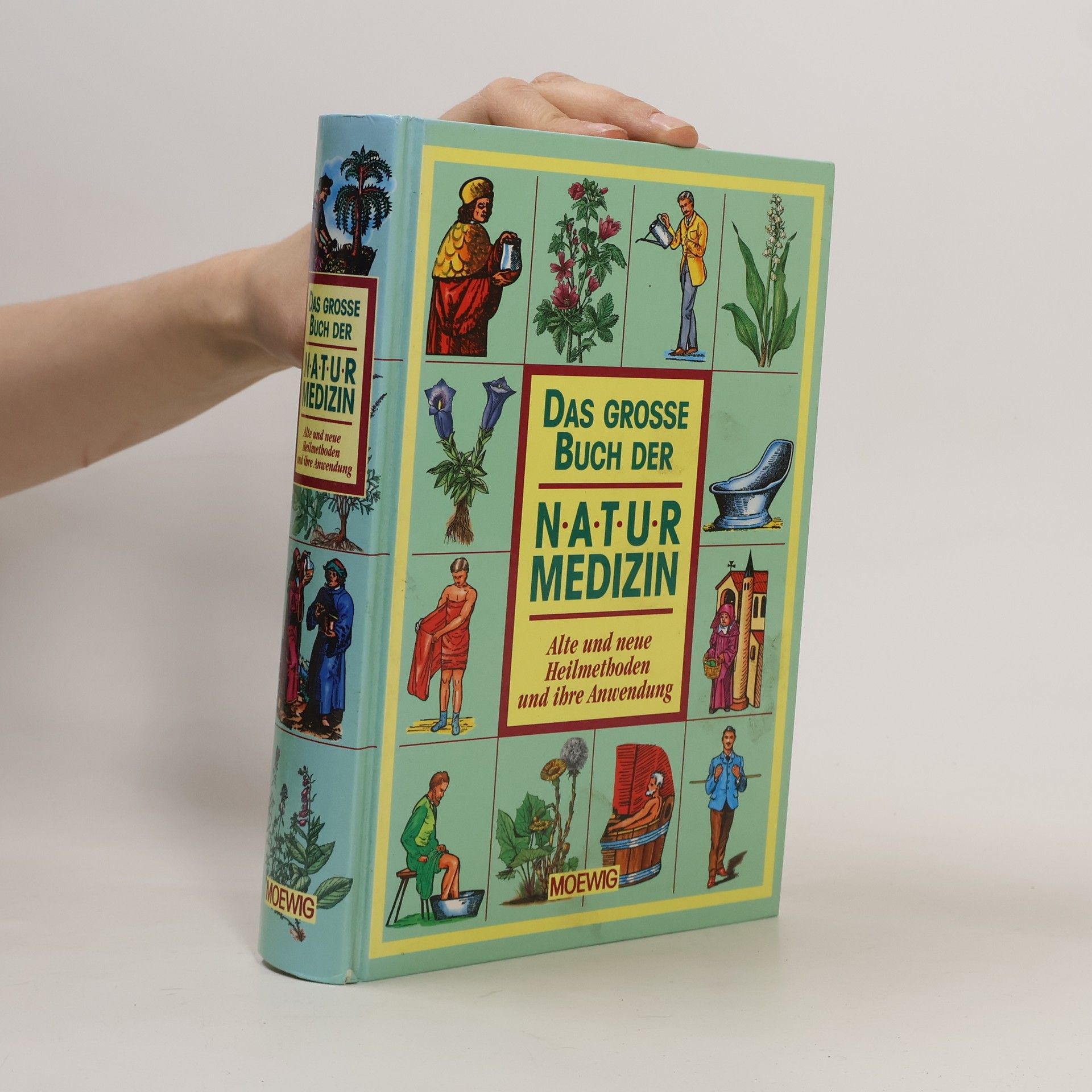 Maxmilian Alexander Das grosse Buch der Naturmedizin