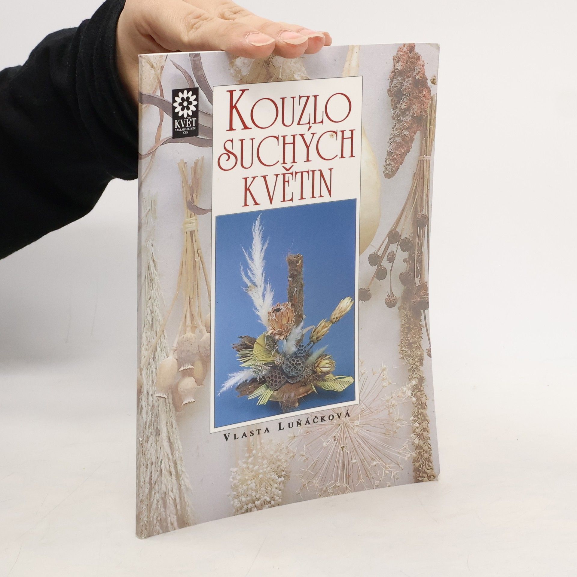 Vlasta Luňáčková Kouzlo suchých květin