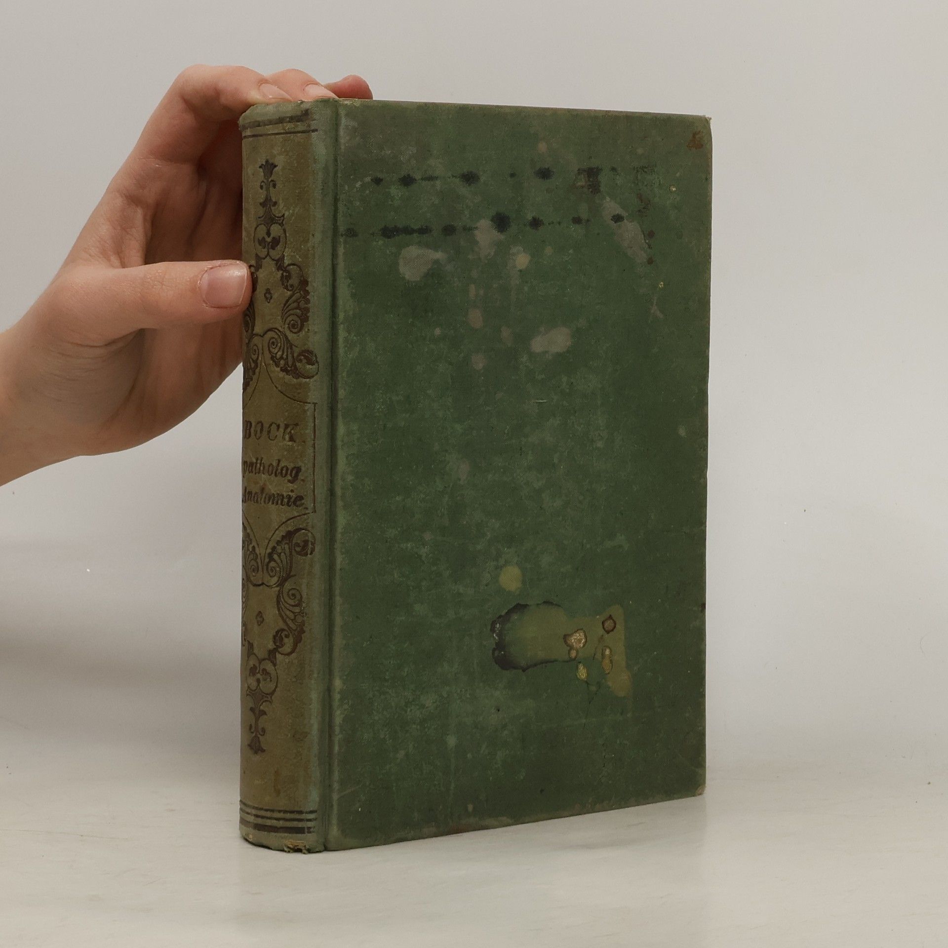 Carl Ernest Bock Patholog Anatomie