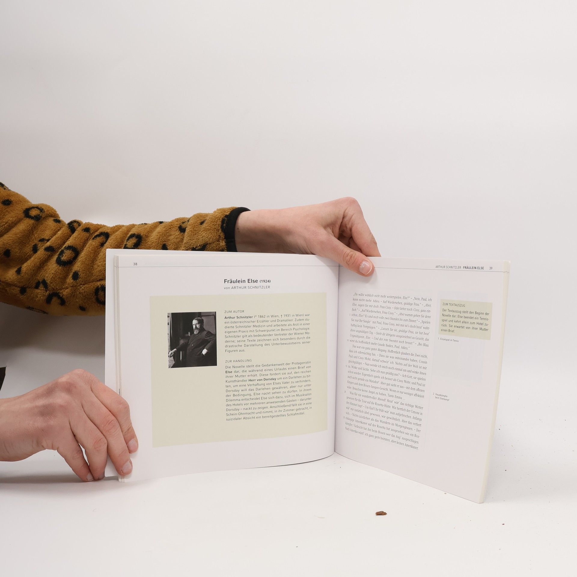 Autores varios Literatur und Sprache um 1900. Neue Ausdrucksformen der Epik
