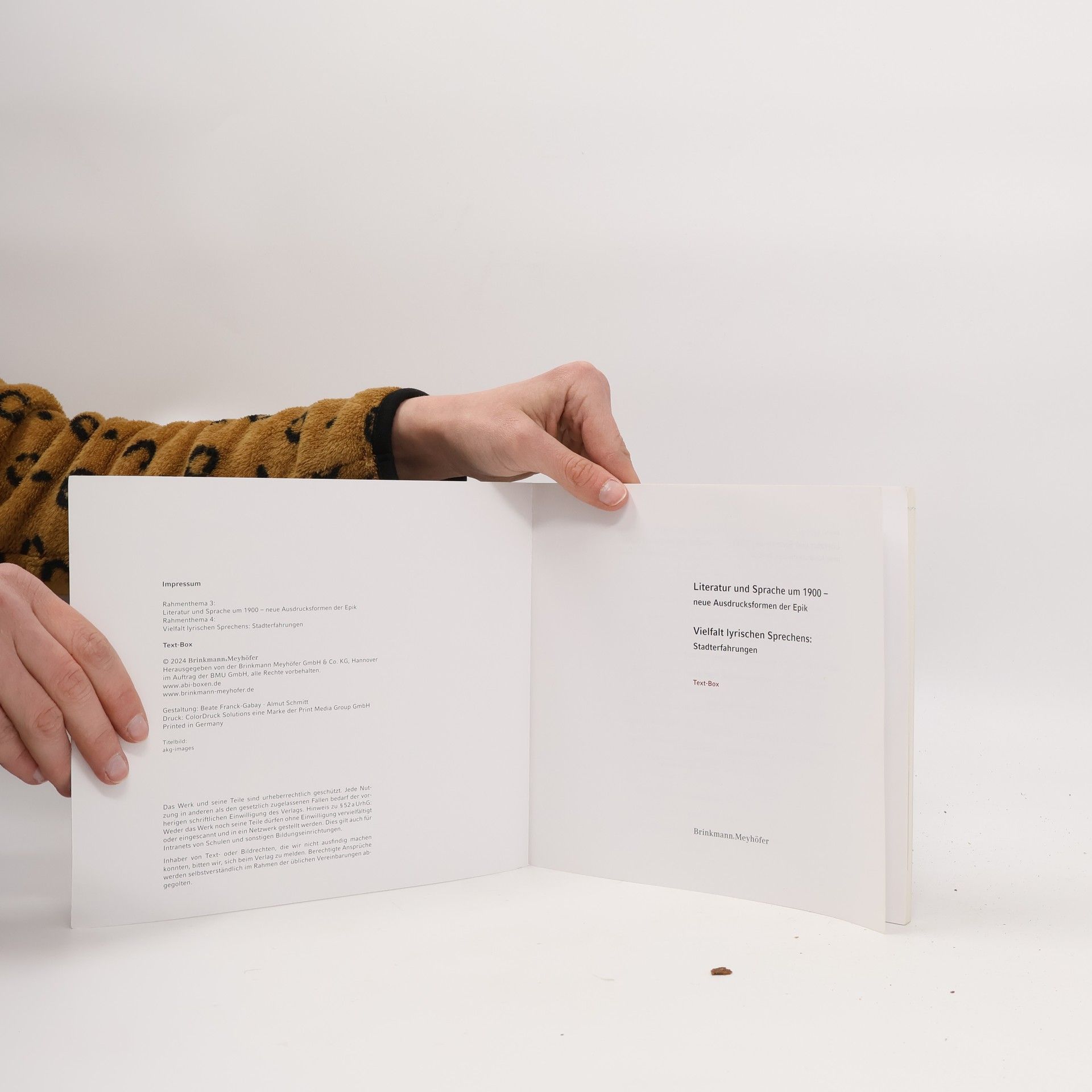 Autores varios Literatur und Sprache um 1900. Neue Ausdrucksformen der Epik