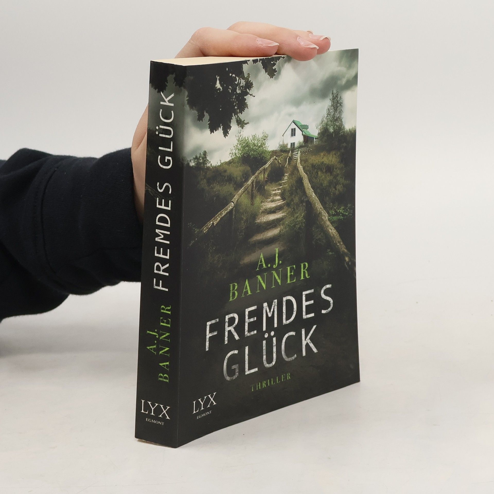 A. J. Banner Fremdes Glück