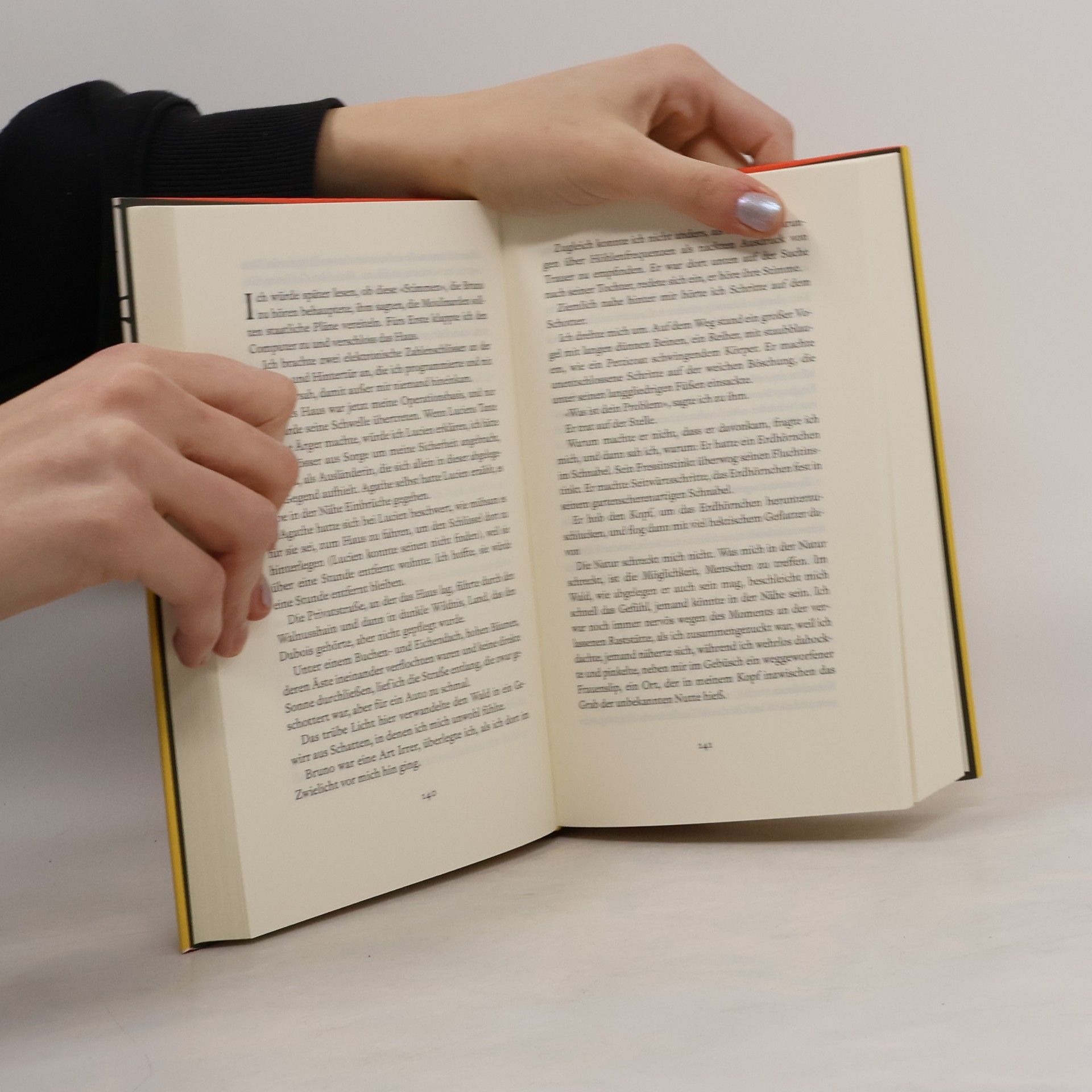 Rachel Kushner See der Schöpfung