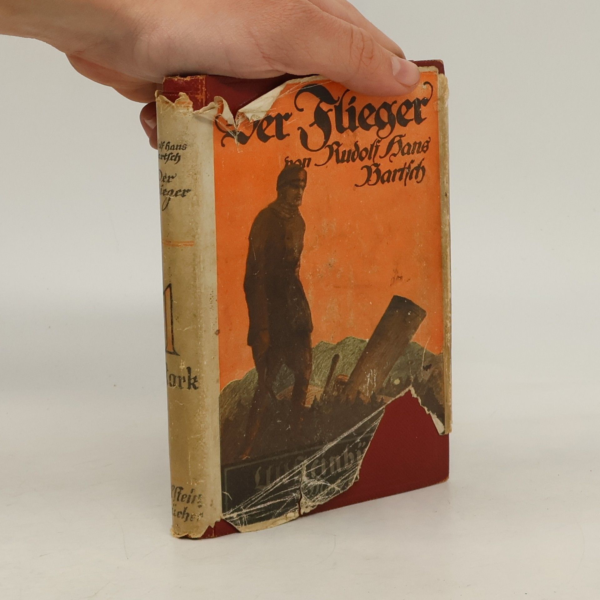 Rudolf Hans Bartsch Der Flieger