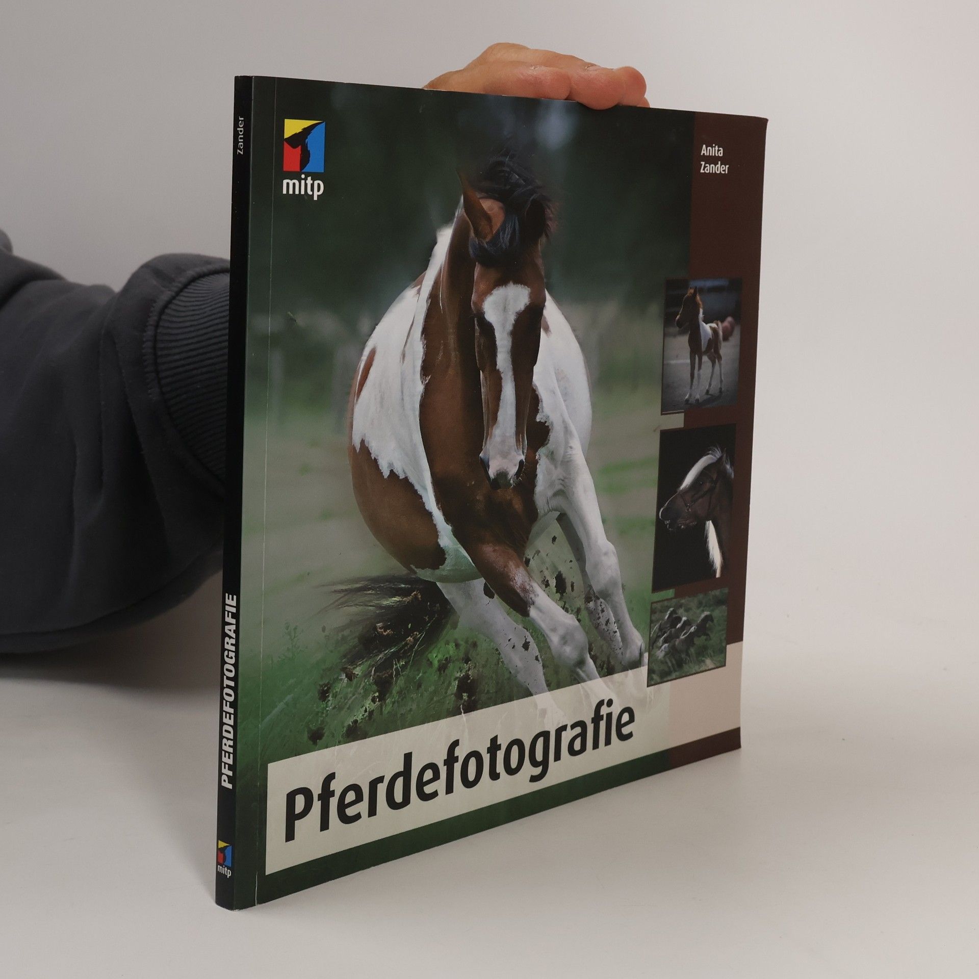 Anita Zander Pferdefotografie
