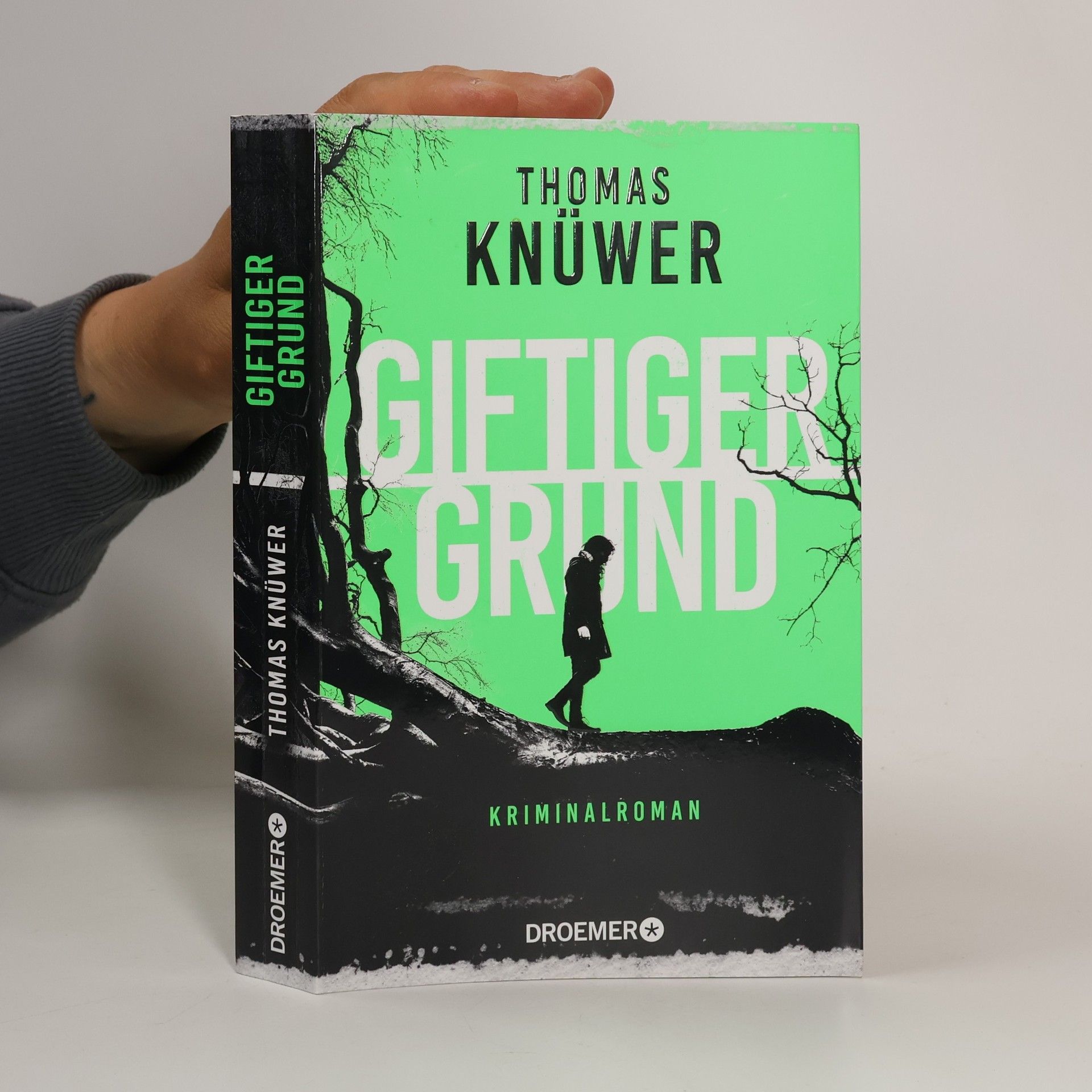 Thomas Knüwer Giftiger Grund