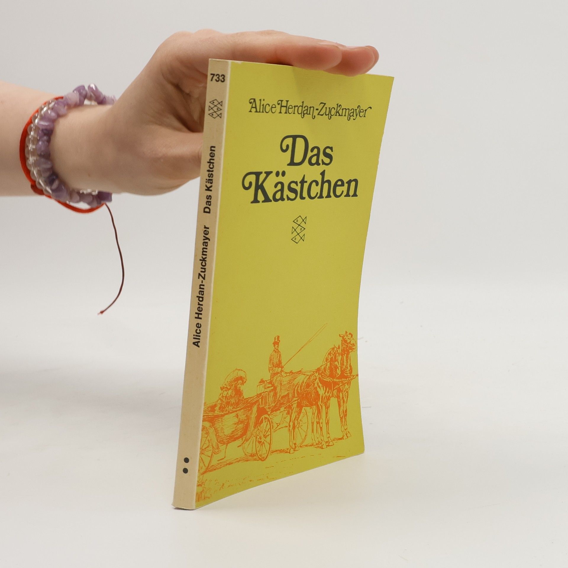 Alice Herdan-Zuckmayer Das Kästchen