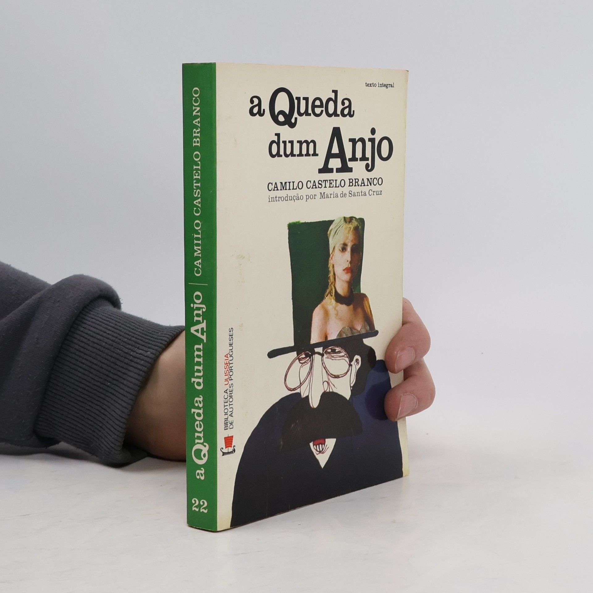 Maria de Santa Cruz A Queda dum Anjo