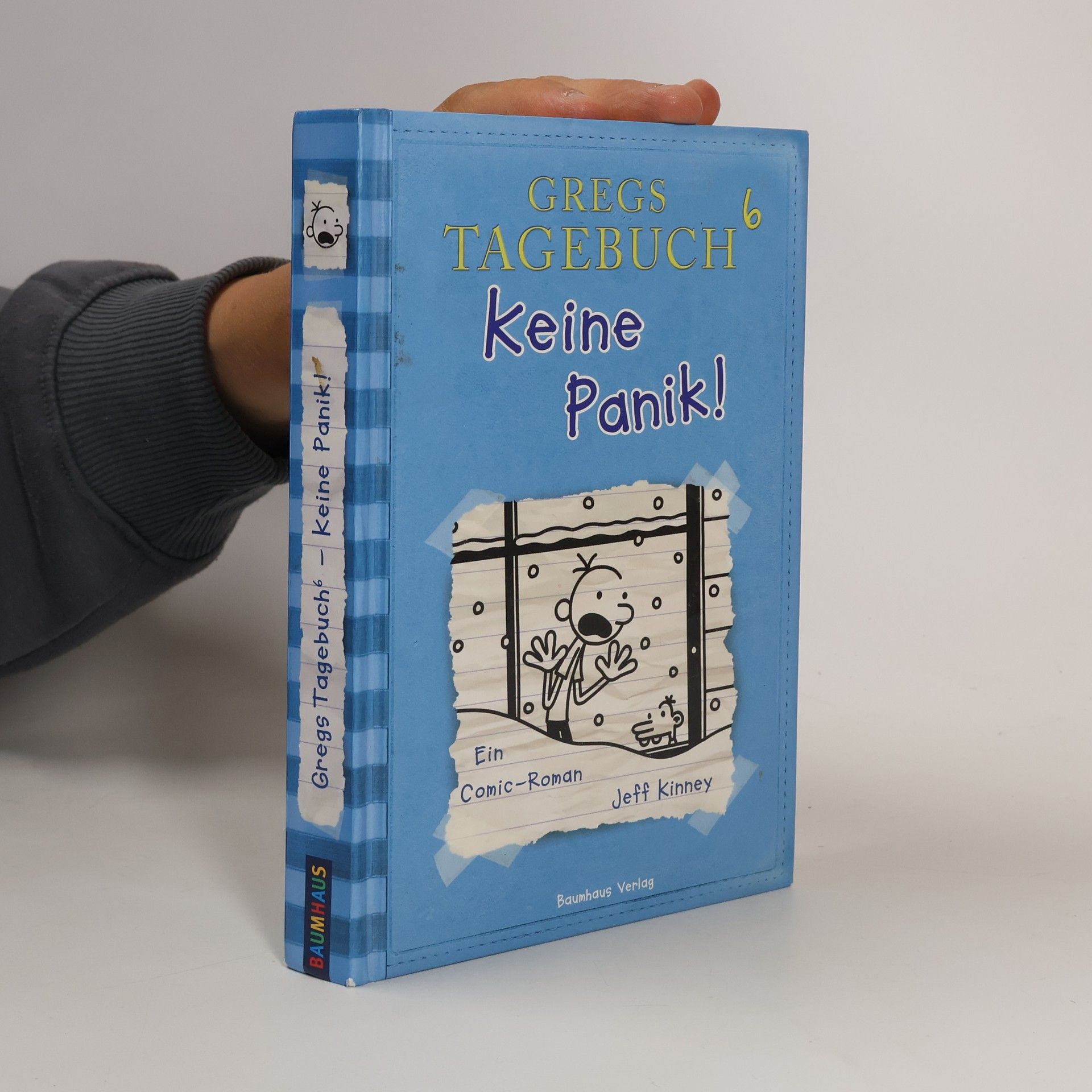 Gregs Tagebuch 6. Keine Panik!