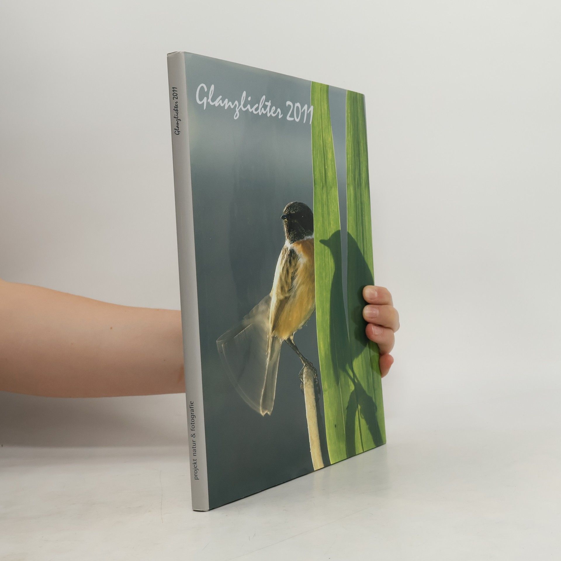 Autorenkollektiv Glanzlichten 2011