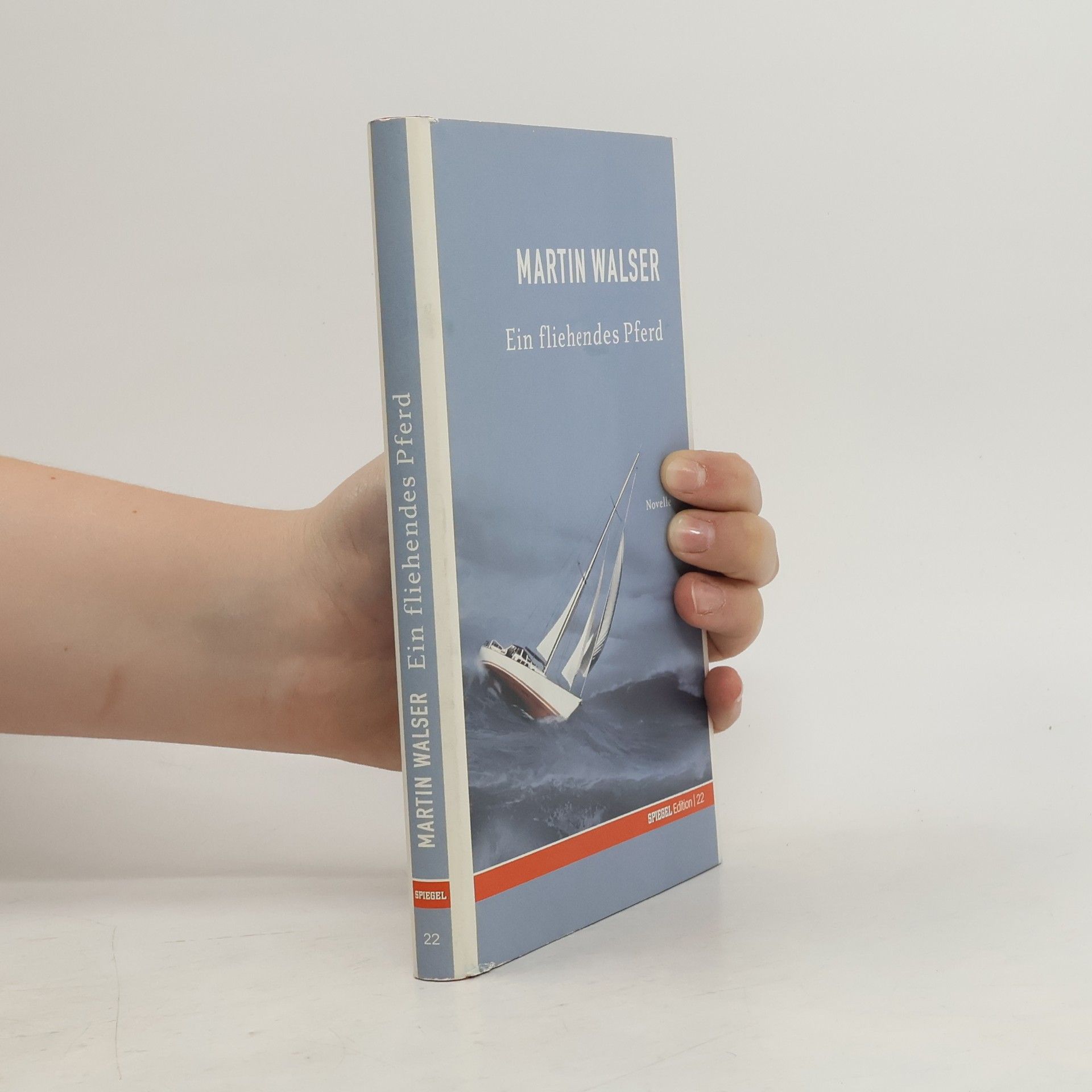 Martin Walser Ein fliehendes Pferd