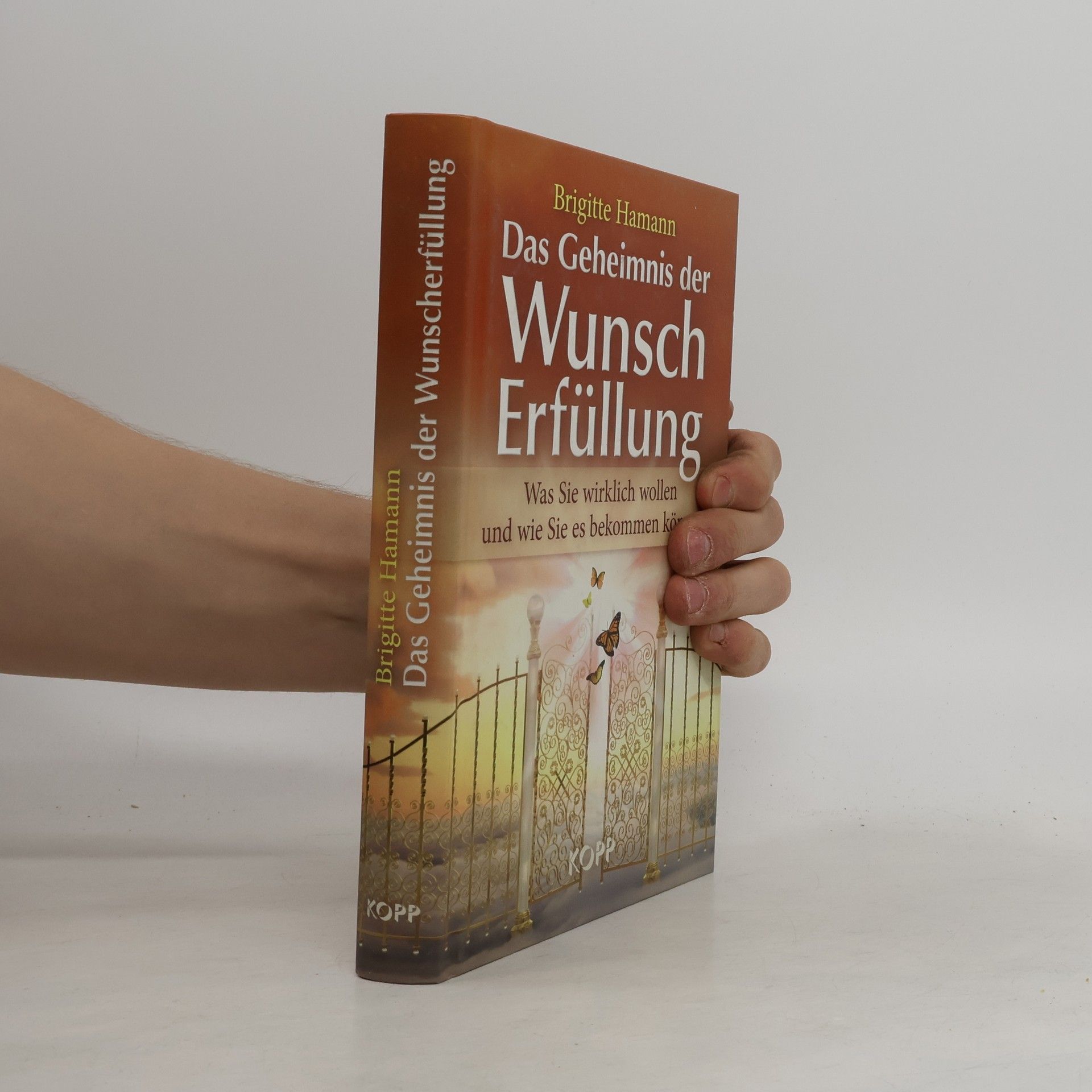 Brigitte Hamann Das Geheimnis der Wunscherfüllung