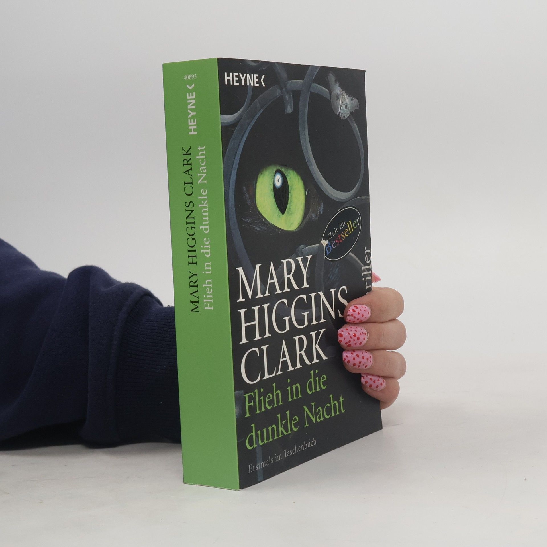 Mary Higginsová Clarková Flieh in die dunkle Nacht