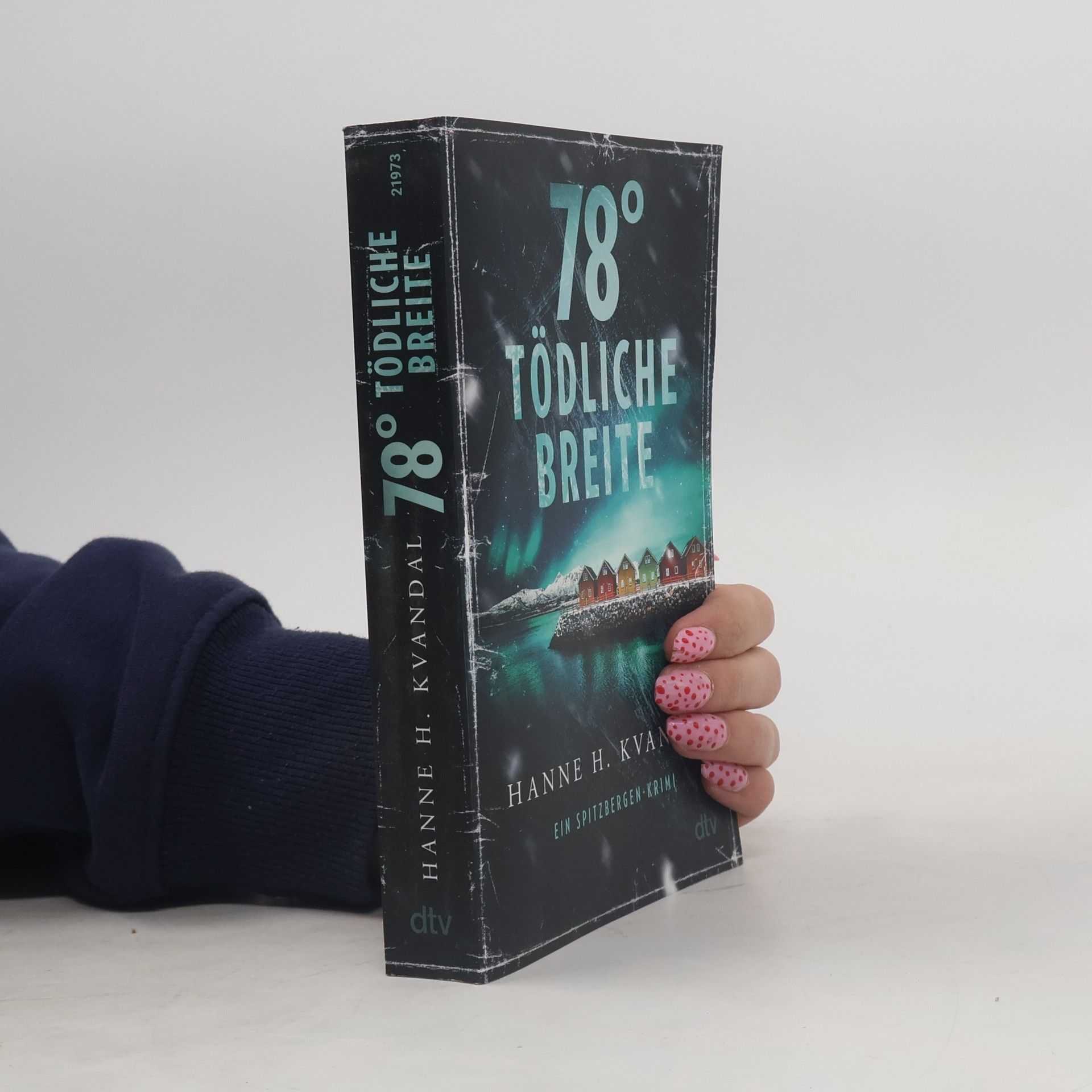 Hanne H. Kvandal 78° tödliche Breite