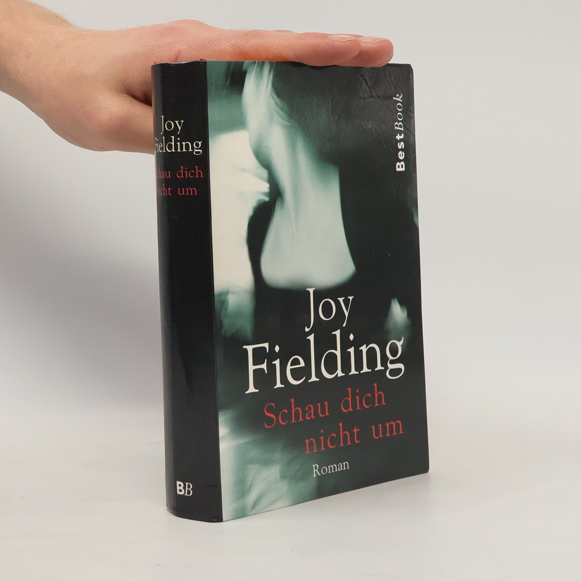 Joy Fielding Schau dich nicht um