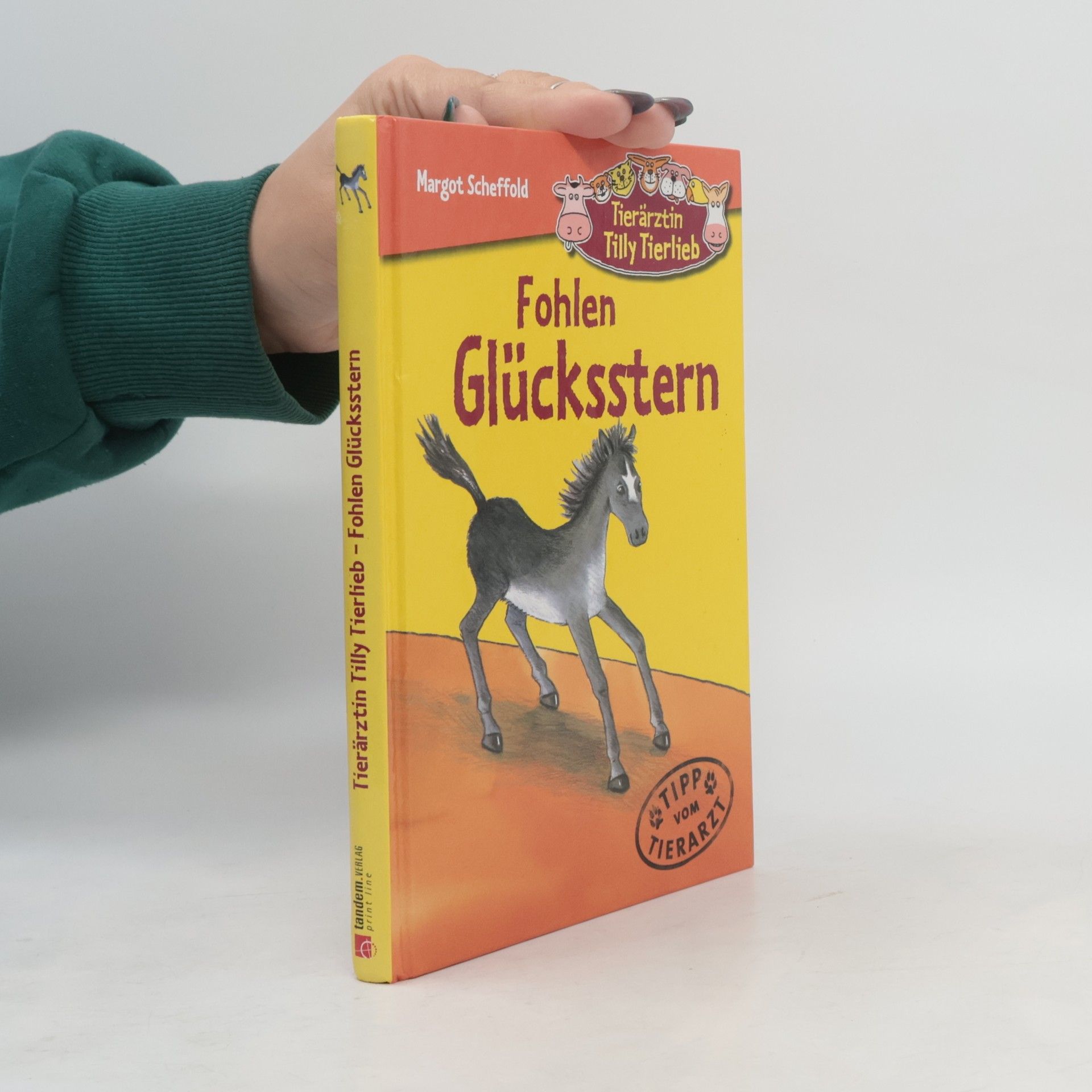 Margot Scheffold Fohlen Glücksstern