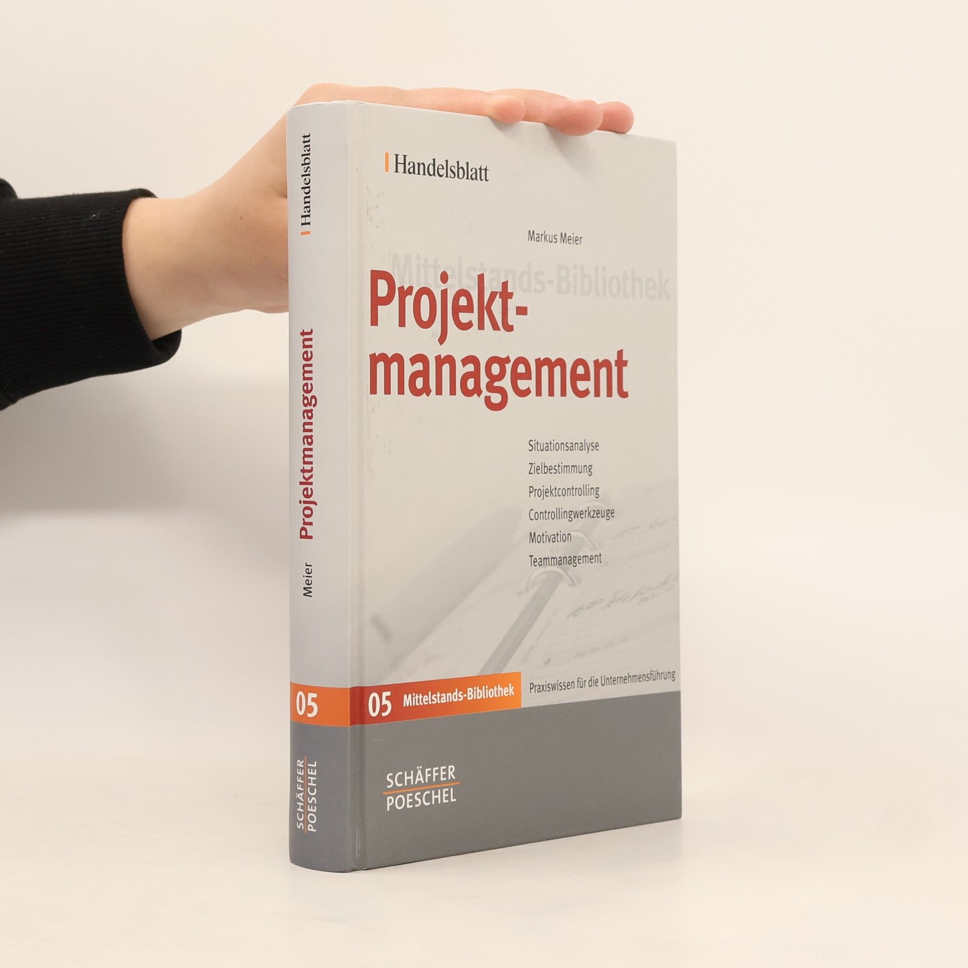Markus Meier Projektmanagement