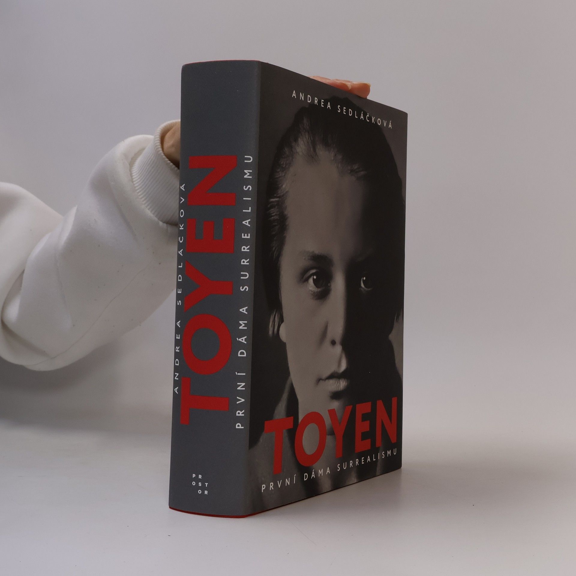 Andrea Sedláčková Toyen: první dáma surrealismu