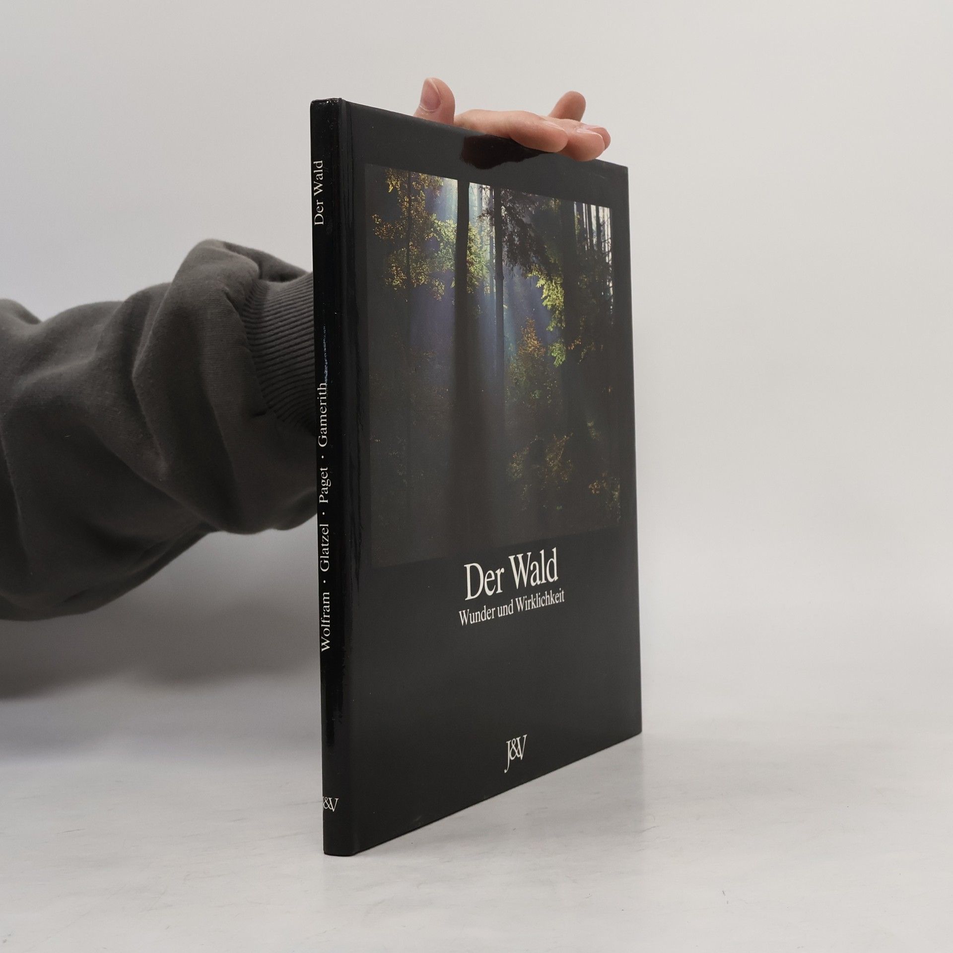 Gerhart Langthaler Der Wald