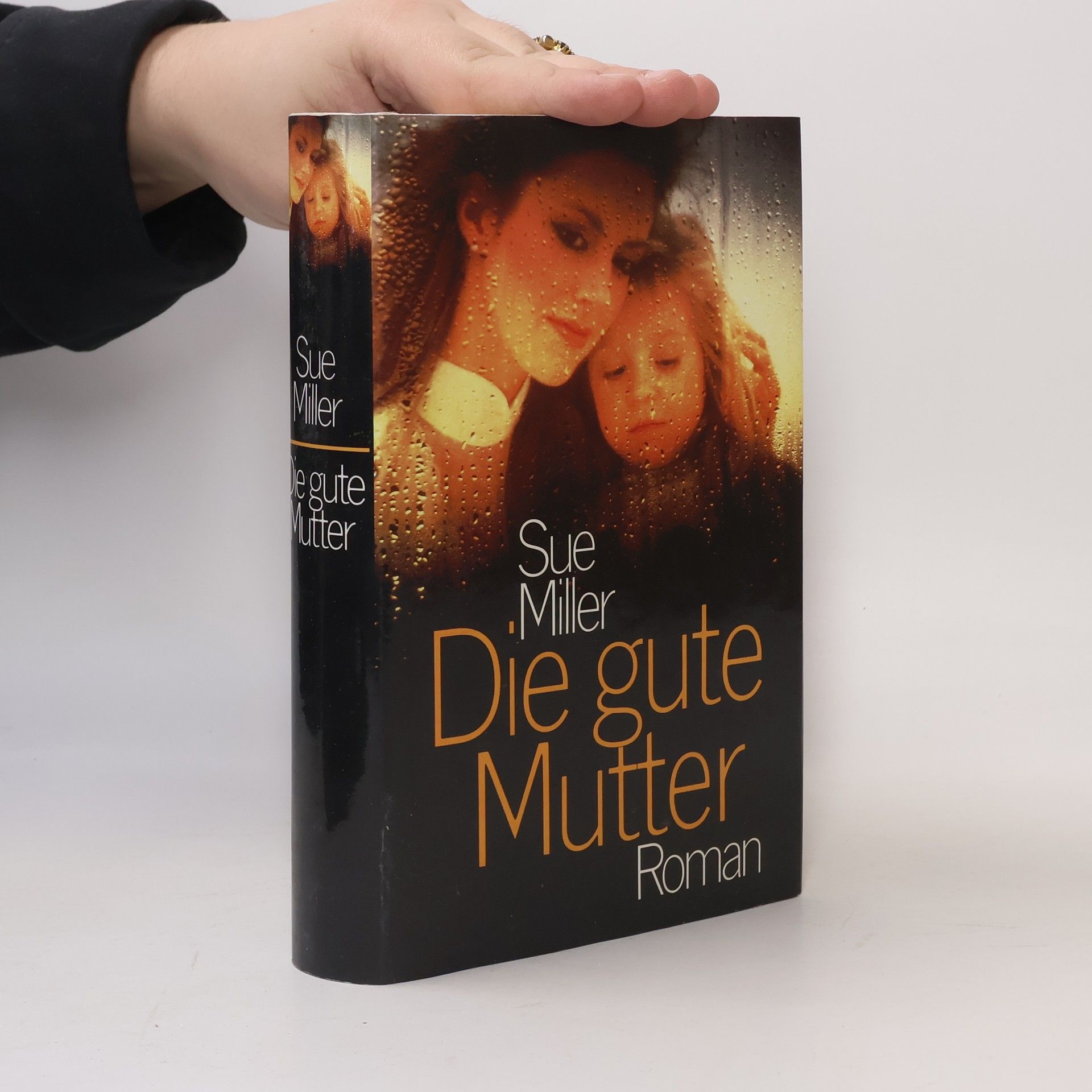 Sue Miller Die gute Mutter
