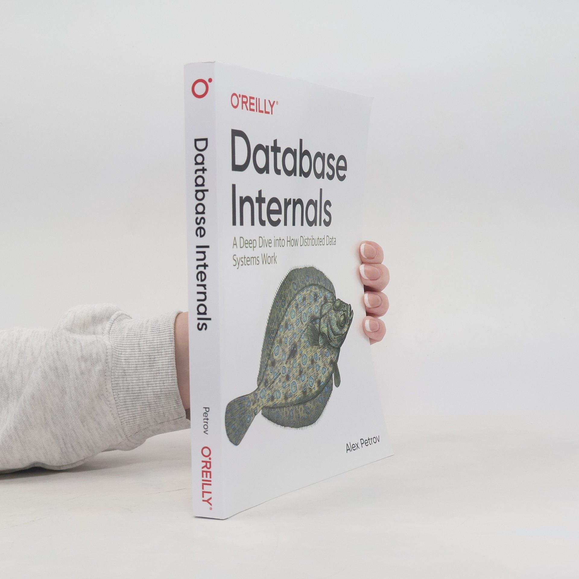 Alex Petrov Database Internals