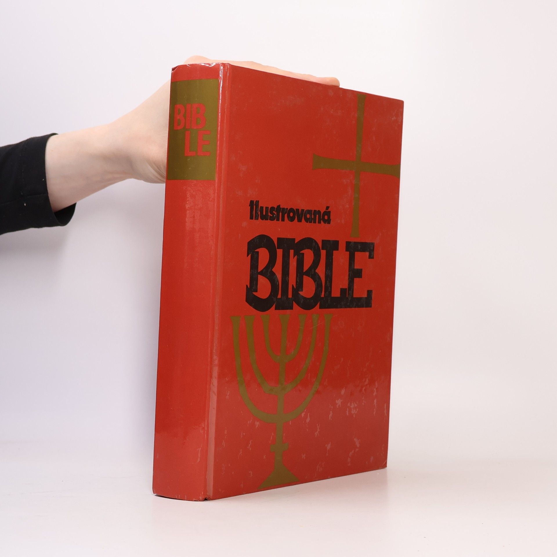 Samuel Terrien Ilustrovaná Bible pro mládež
