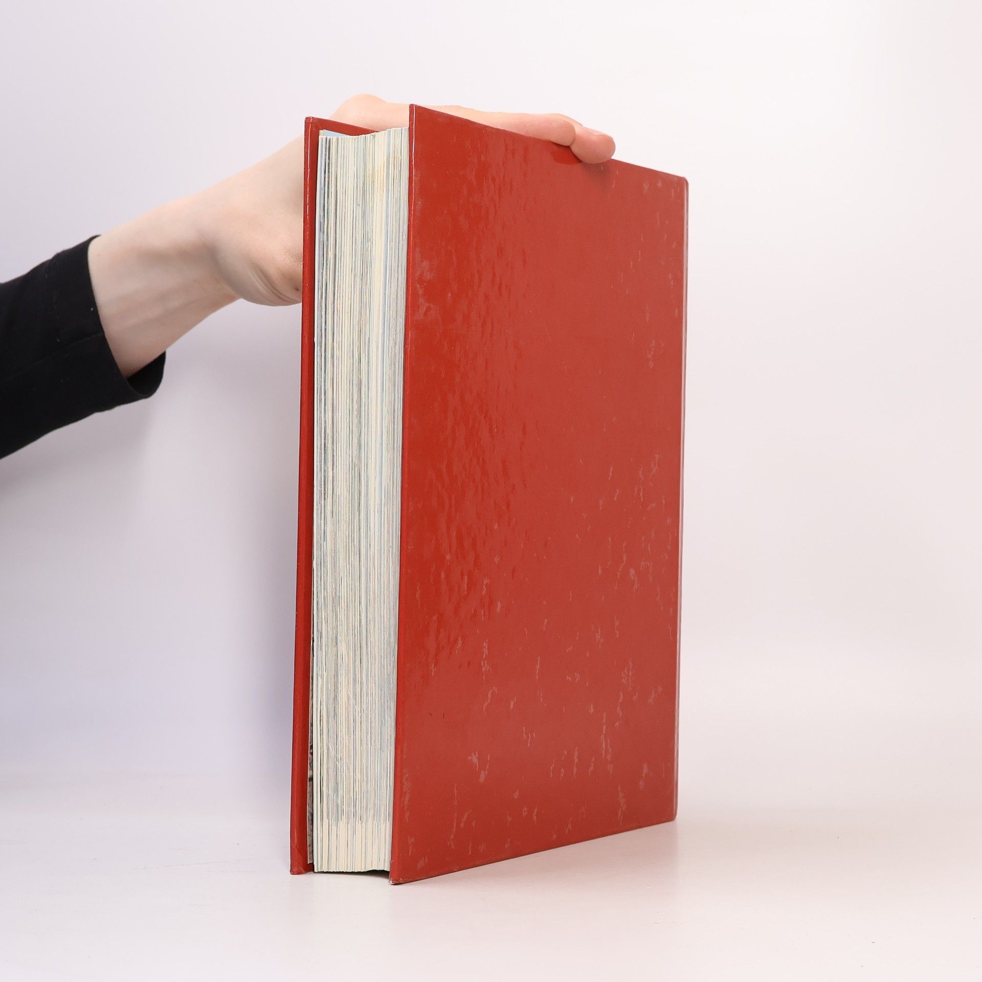 Samuel Terrien Ilustrovaná Bible pro mládež
