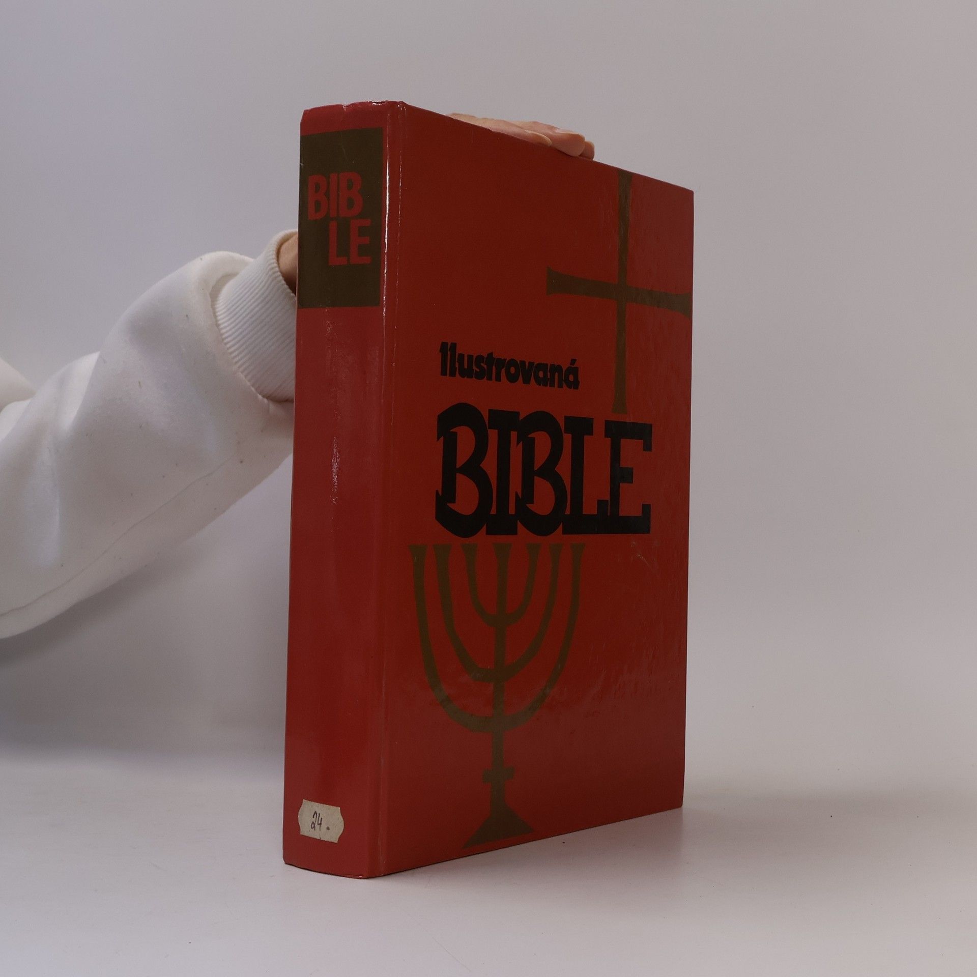 Samuel Terrien Ilustrovaná Bible pro mládež
