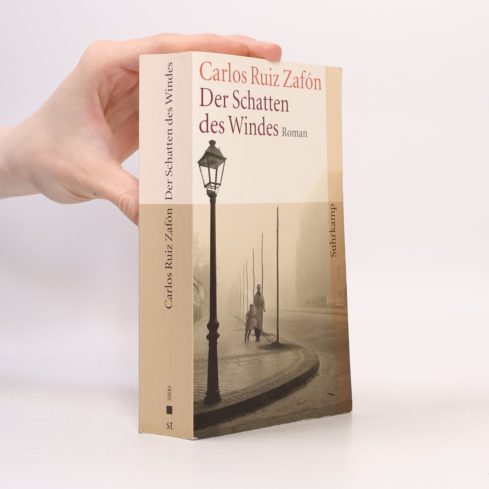 Der Schatten des Windes