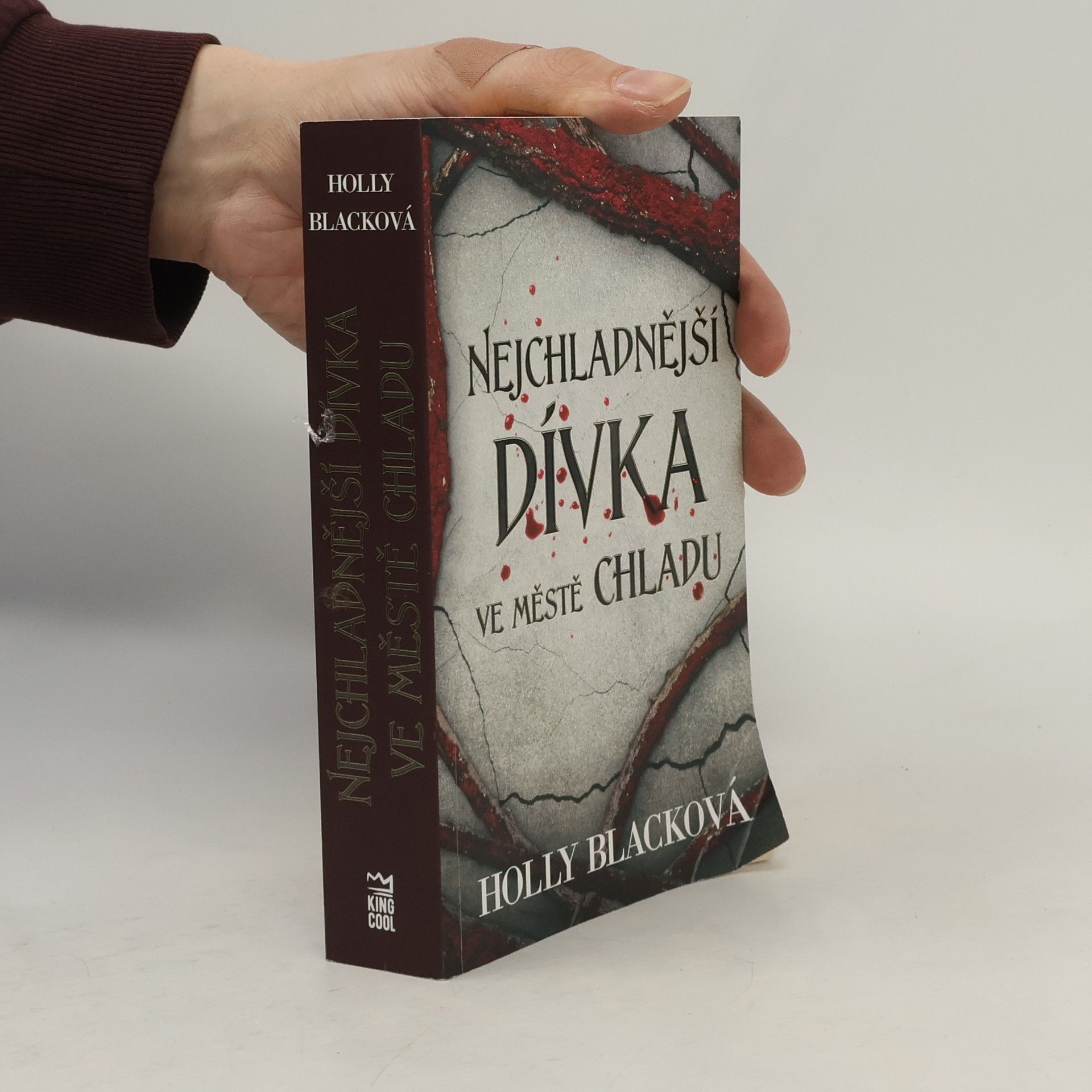 Holly Black Nejchladnější dívka ve městě chladu