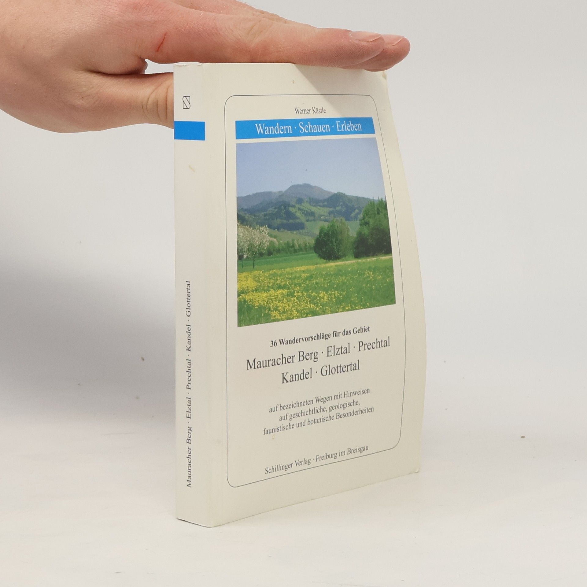 Mauracher Berg, Elztal, Prechtal, Kandel, Glottertal