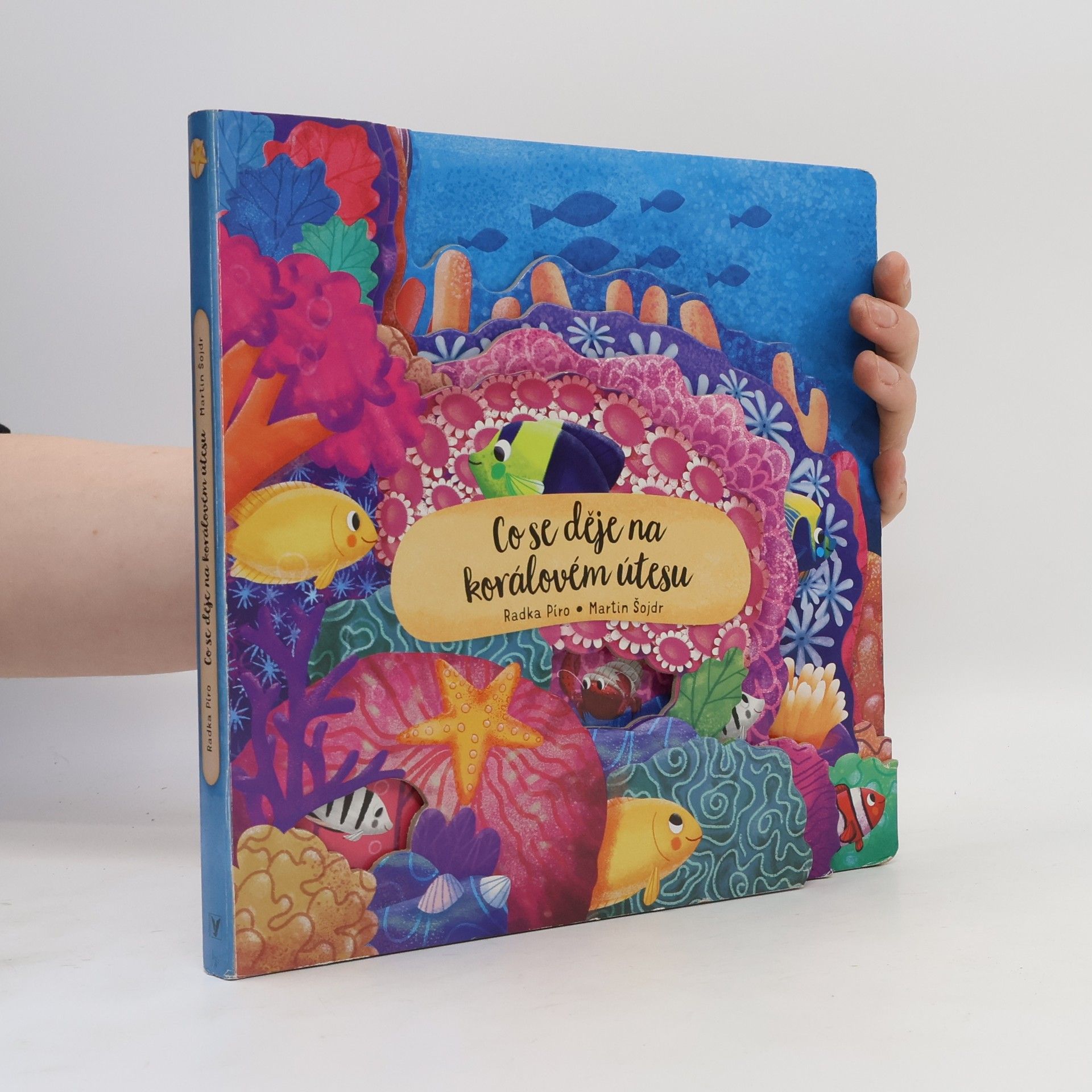 Martin Šojdr Co se děje na korálovém útesu