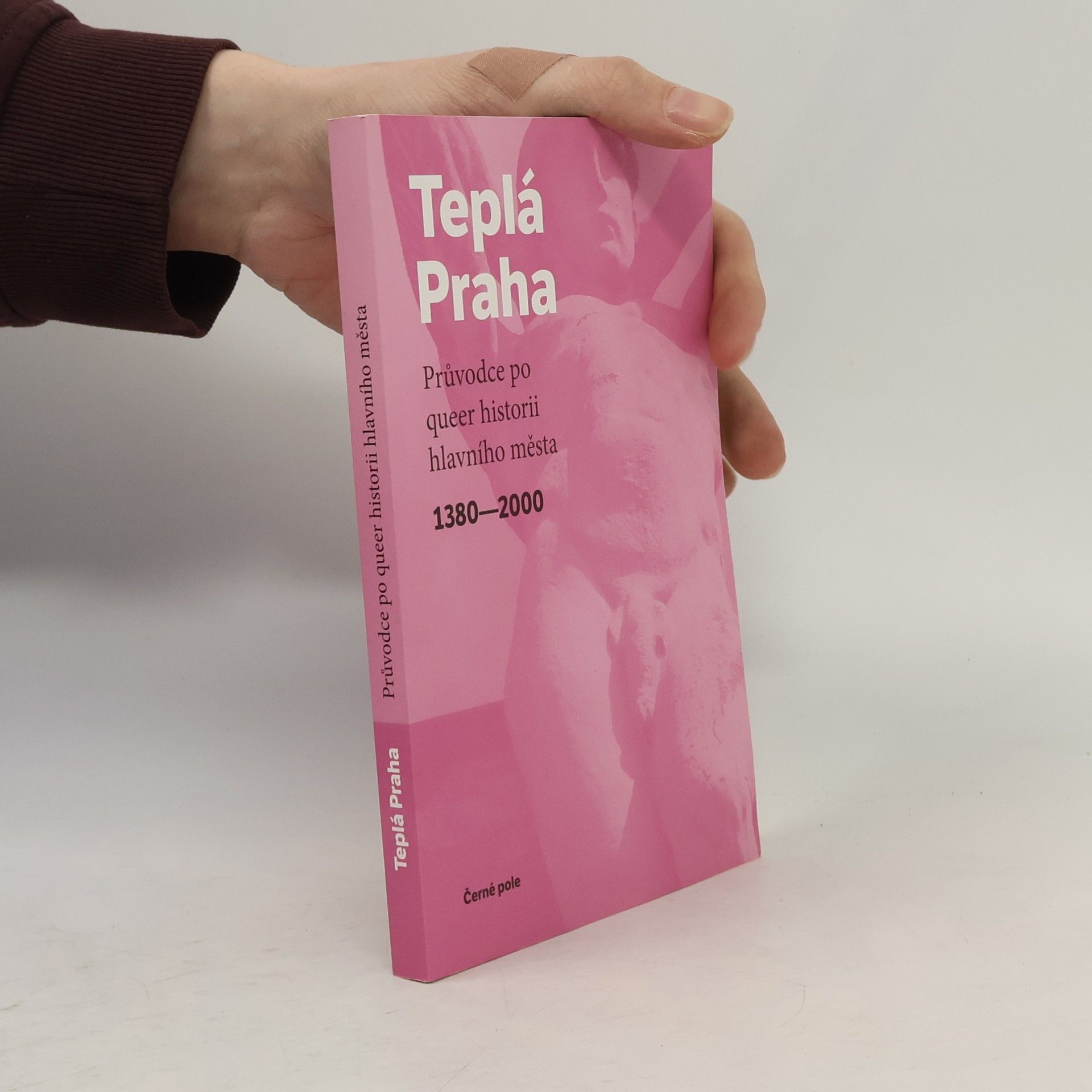 Jan Seidl Teplá Praha: Průvodce po queer historii hlavního města 1380-2000