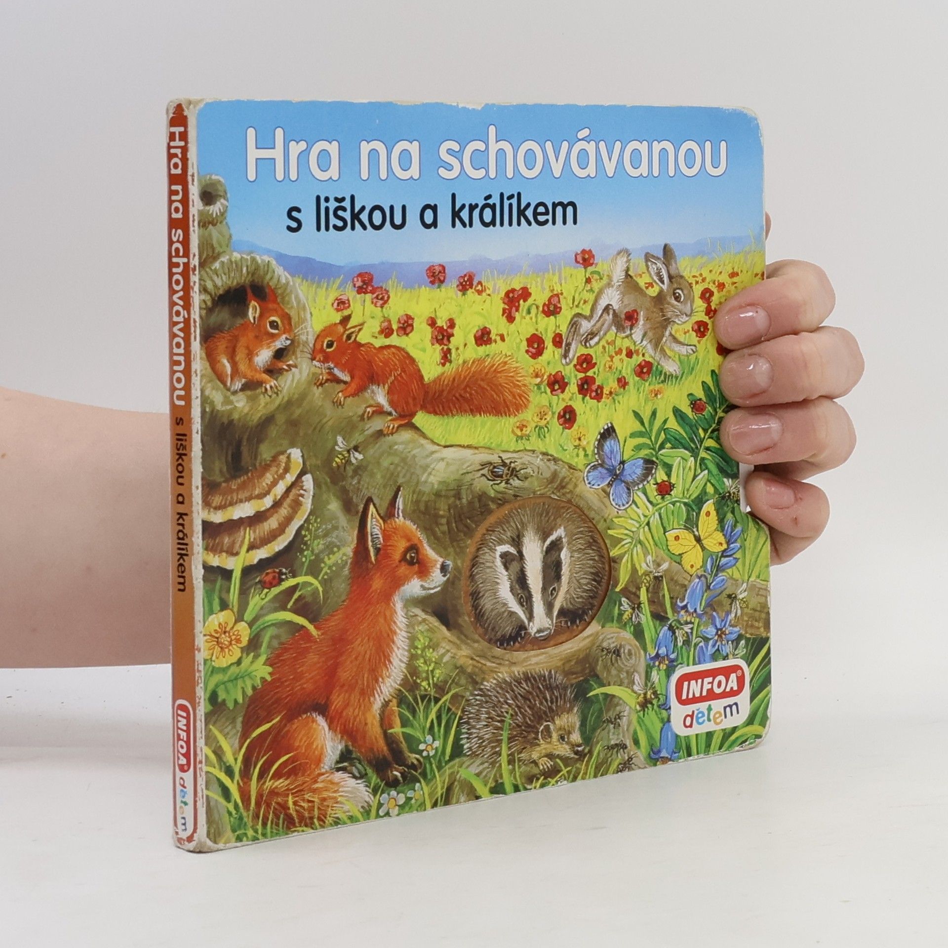 Various authors Hra na schovávanou s liškou a králíkem