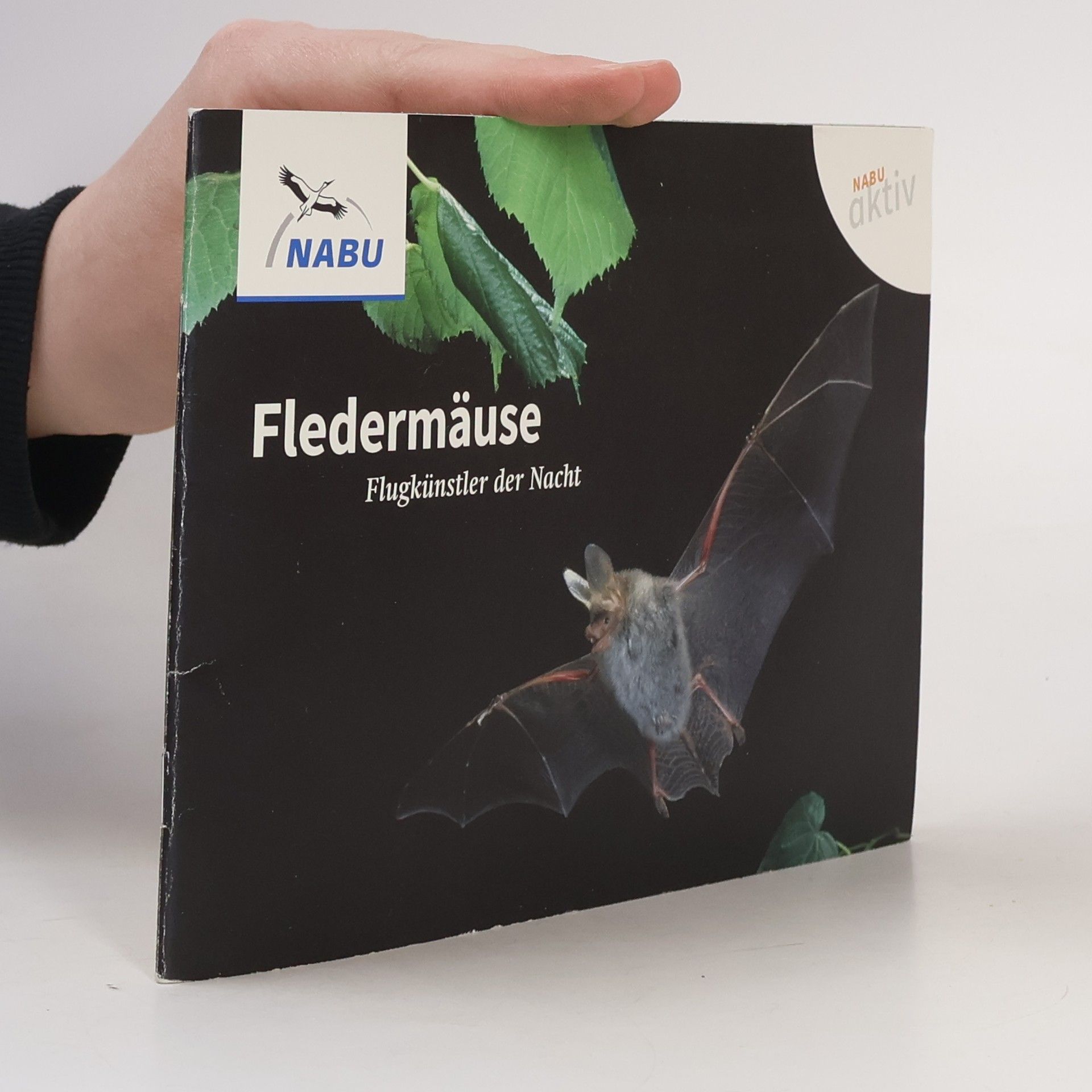 Autorenkollektiv Fledermäuse